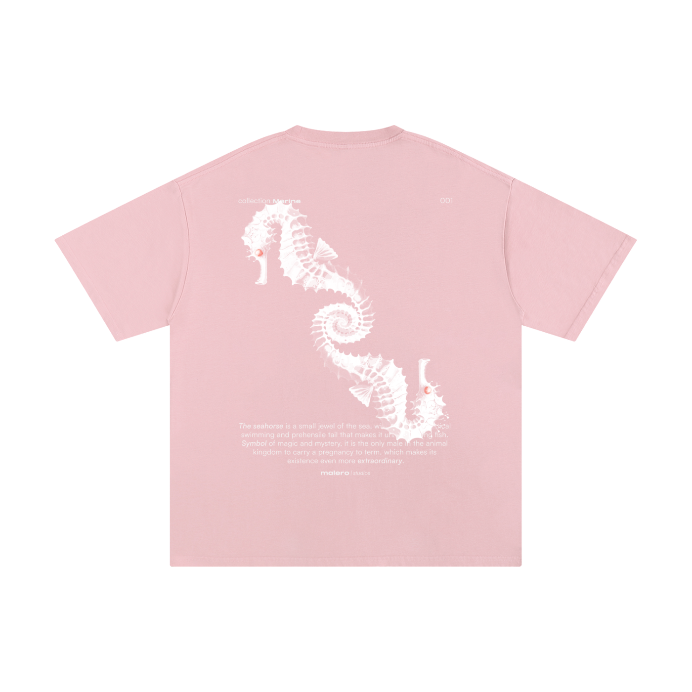 The Seahorse