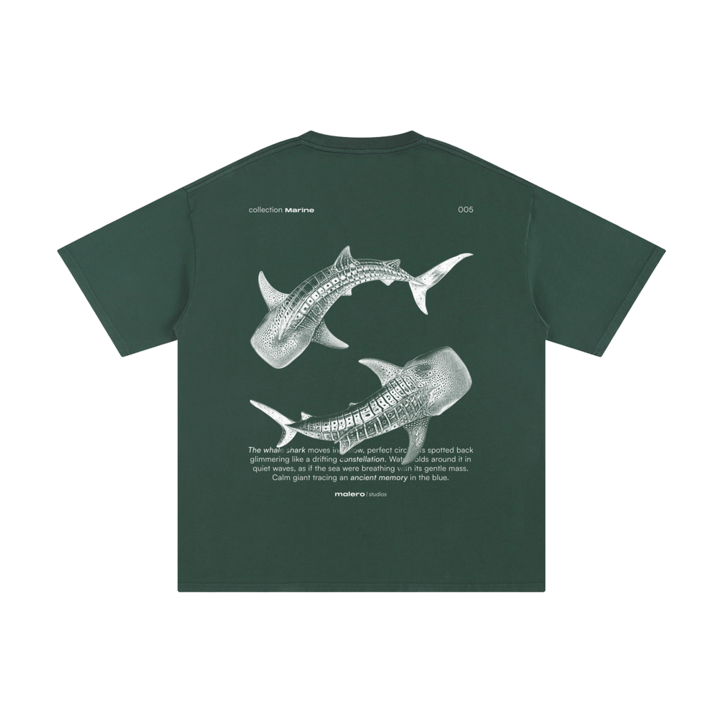 The Whale Shark