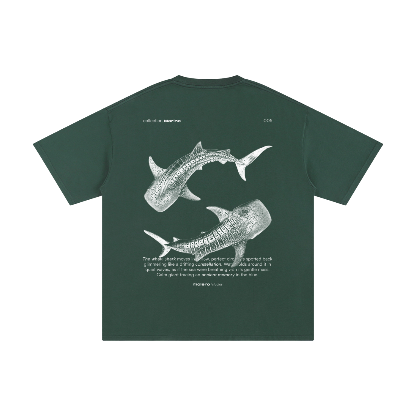 The Whale Shark