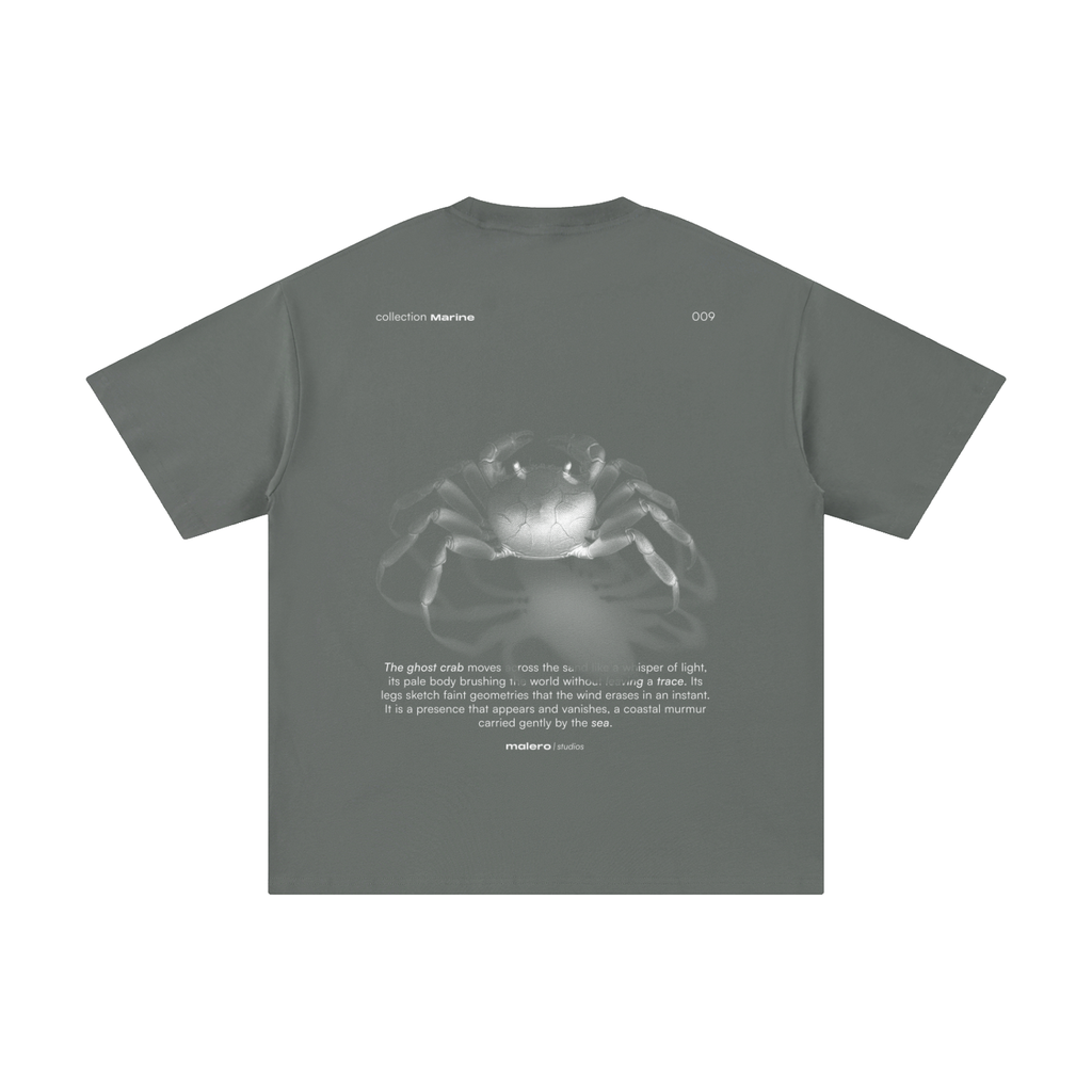The Ghost Crab