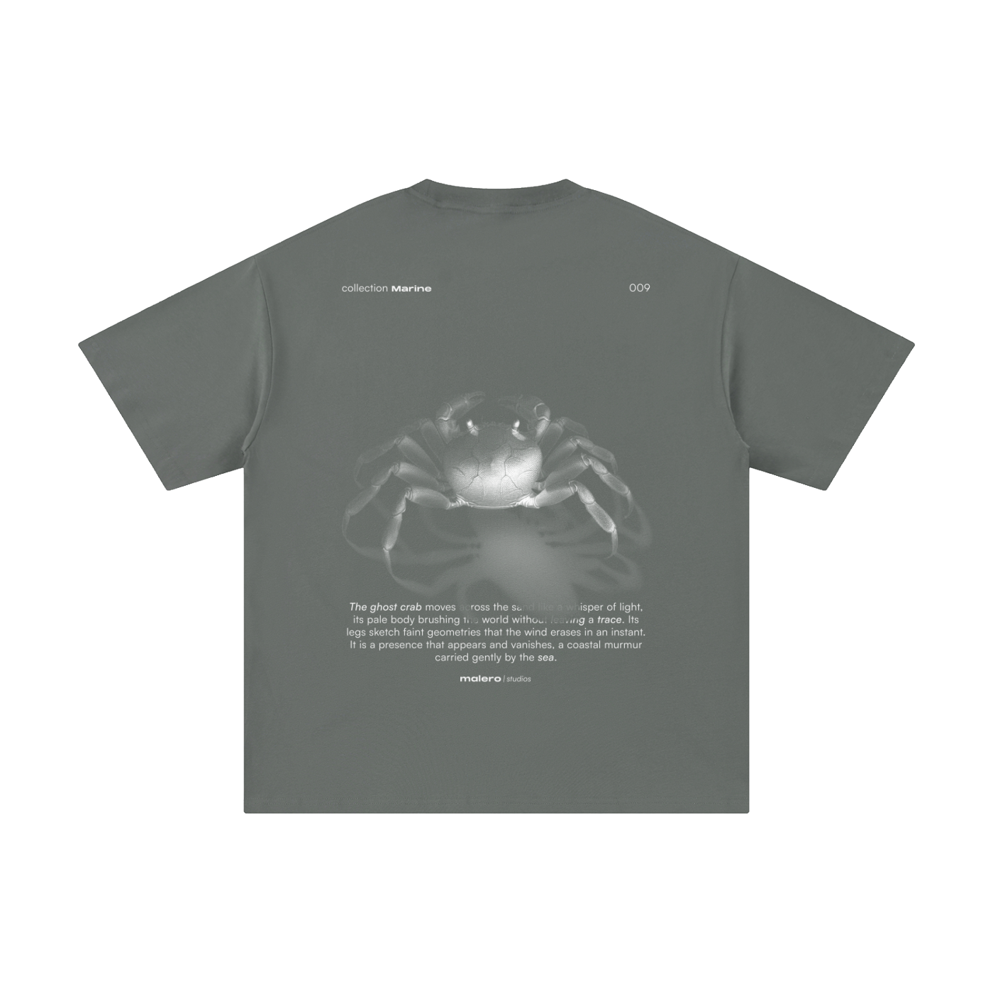 The Ghost Crab