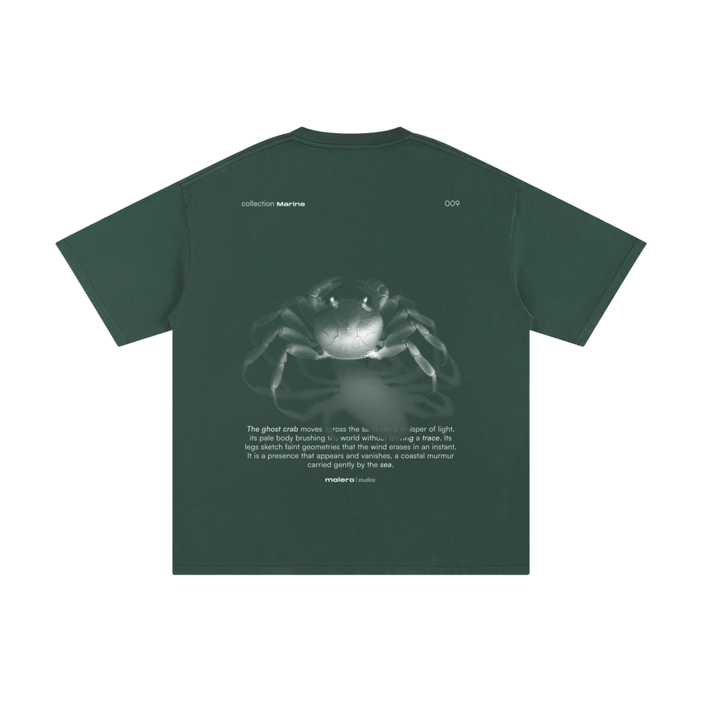 The Ghost Crab