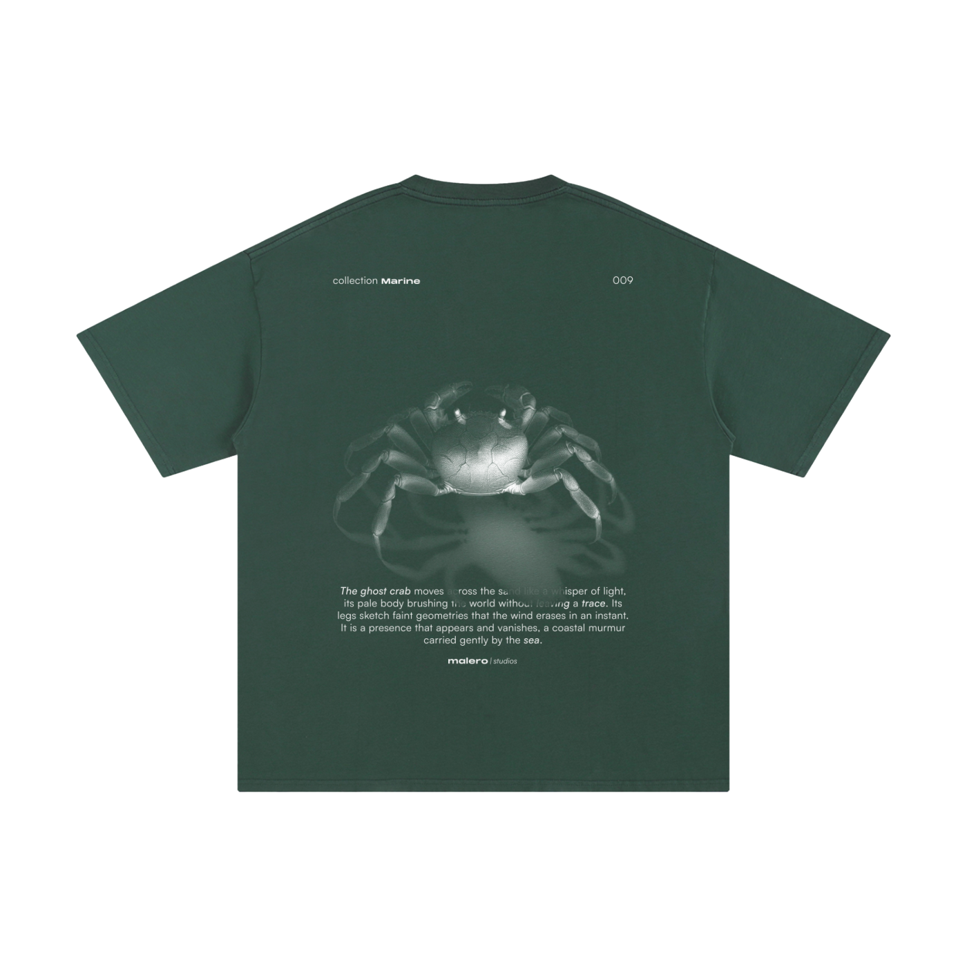 The Ghost Crab