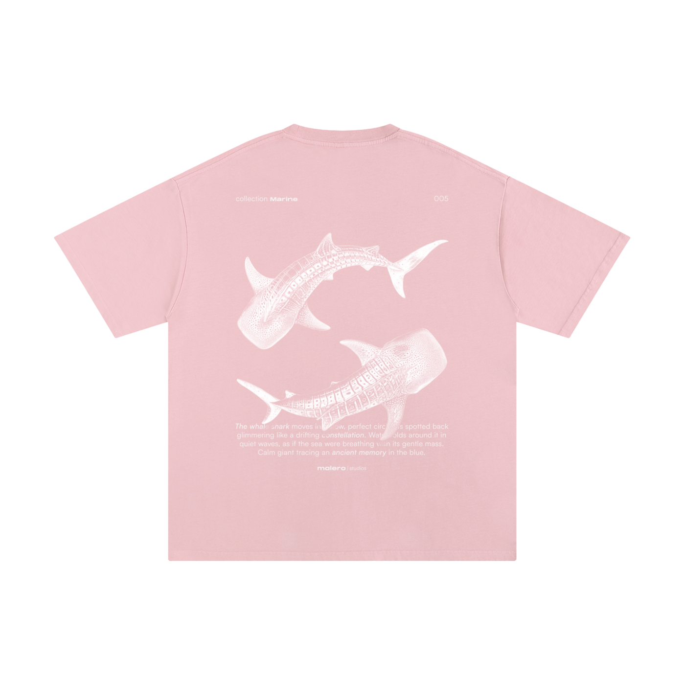 The Whale Shark