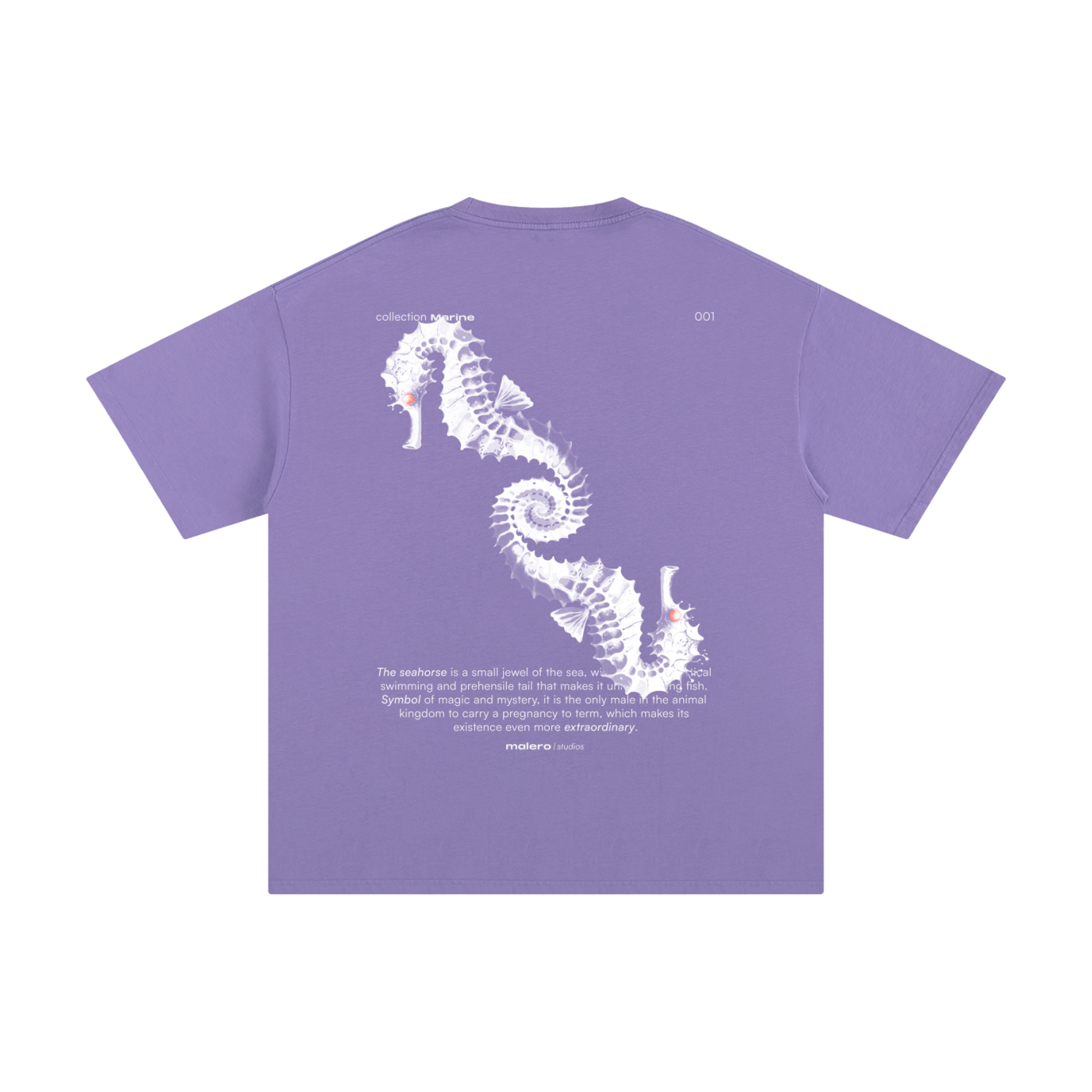 The Seahorse