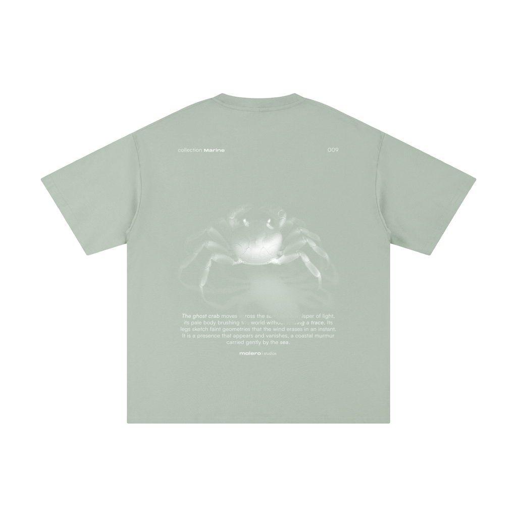 The Ghost Crab