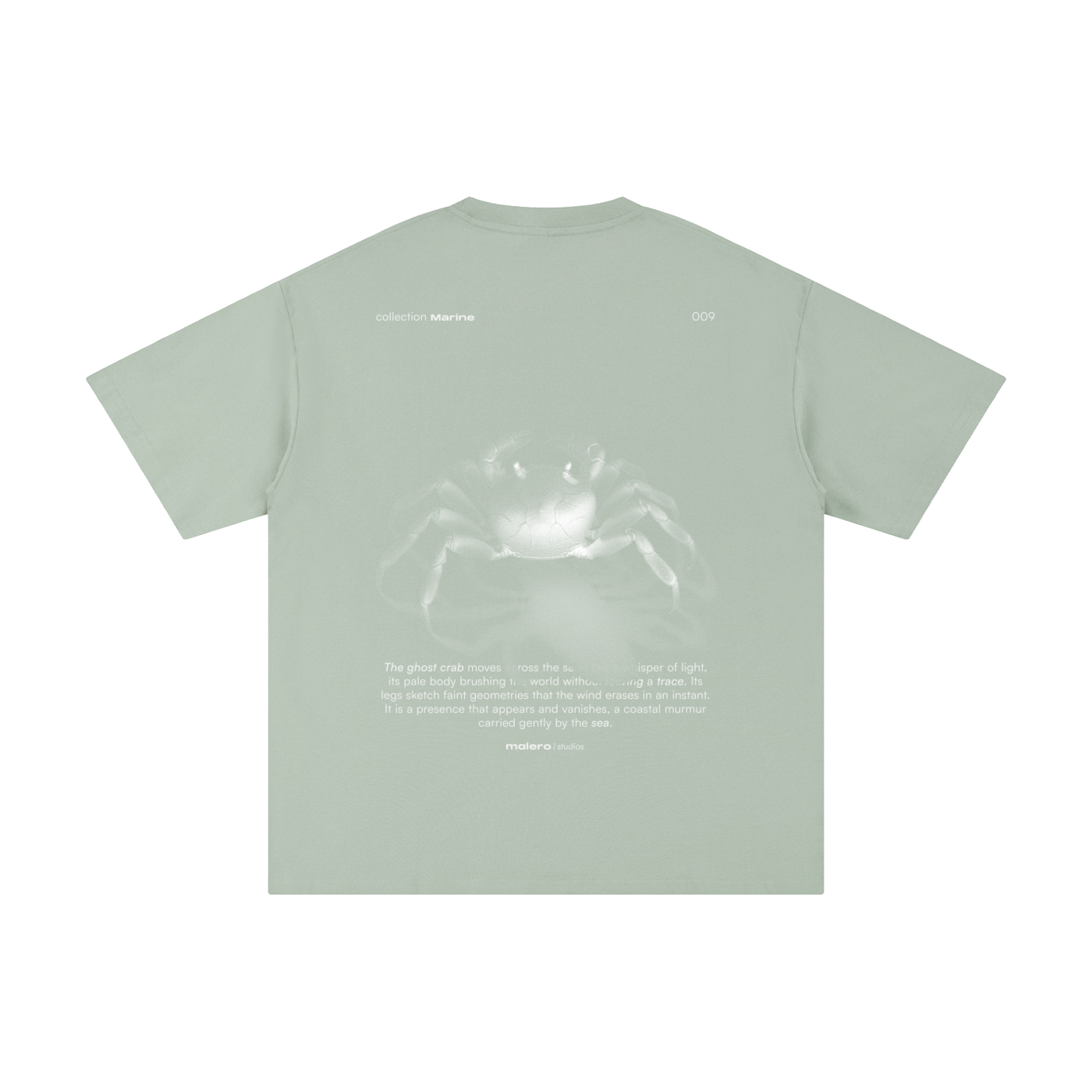 The Ghost Crab