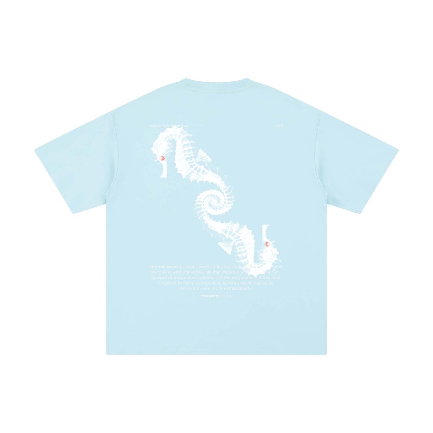 The Seahorse