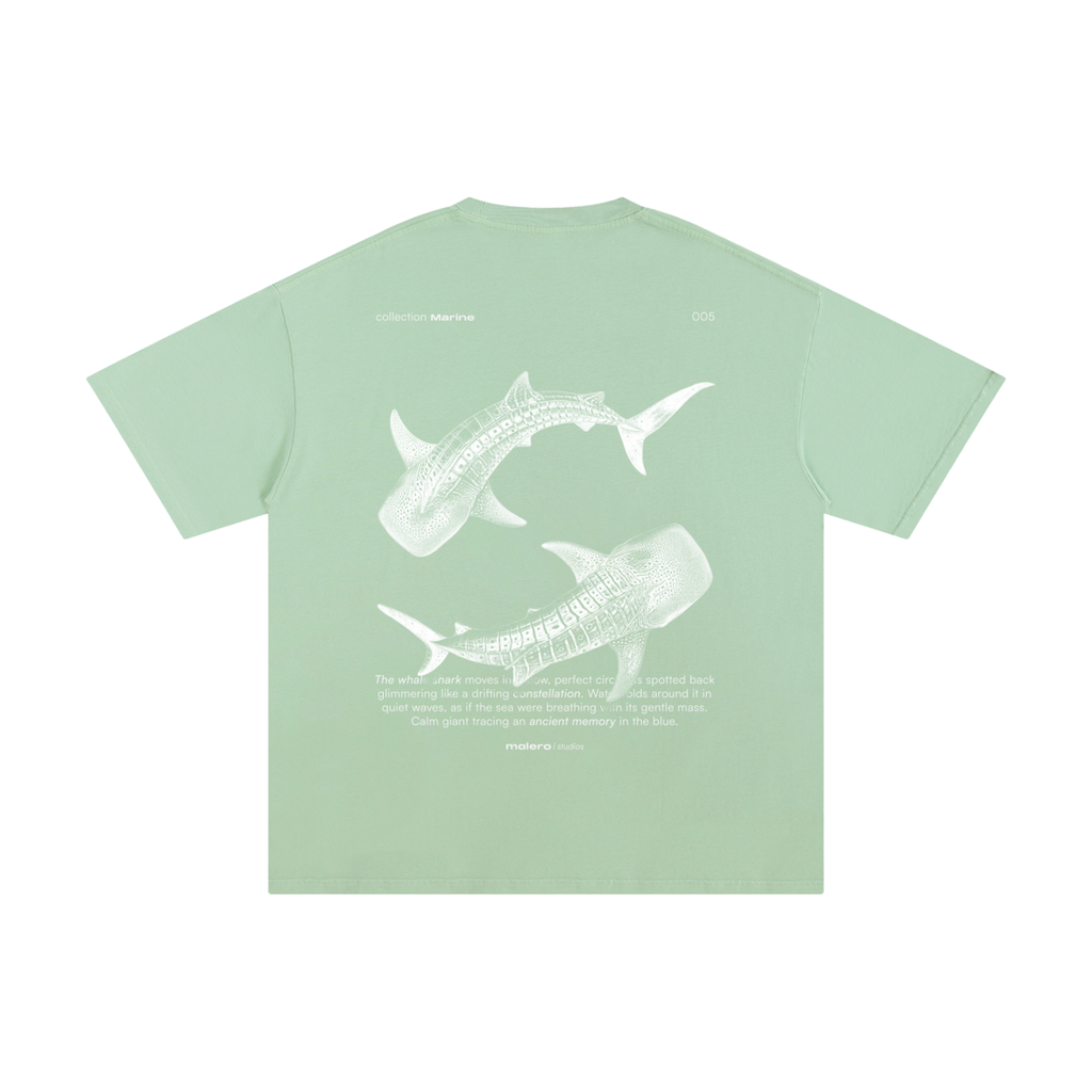 The Whale Shark