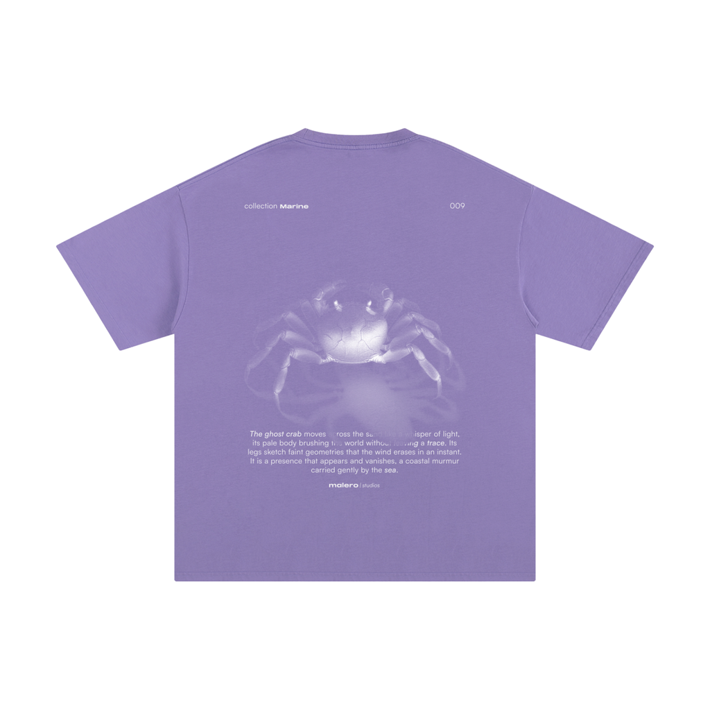 The Ghost Crab