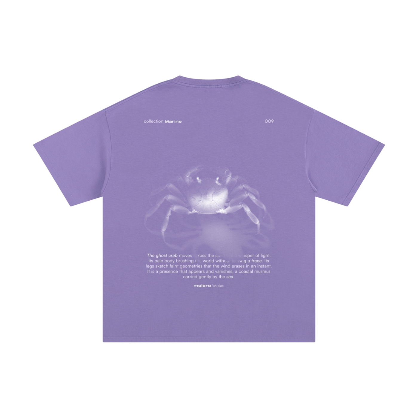 The Ghost Crab