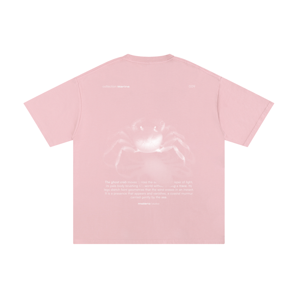 The Ghost Crab