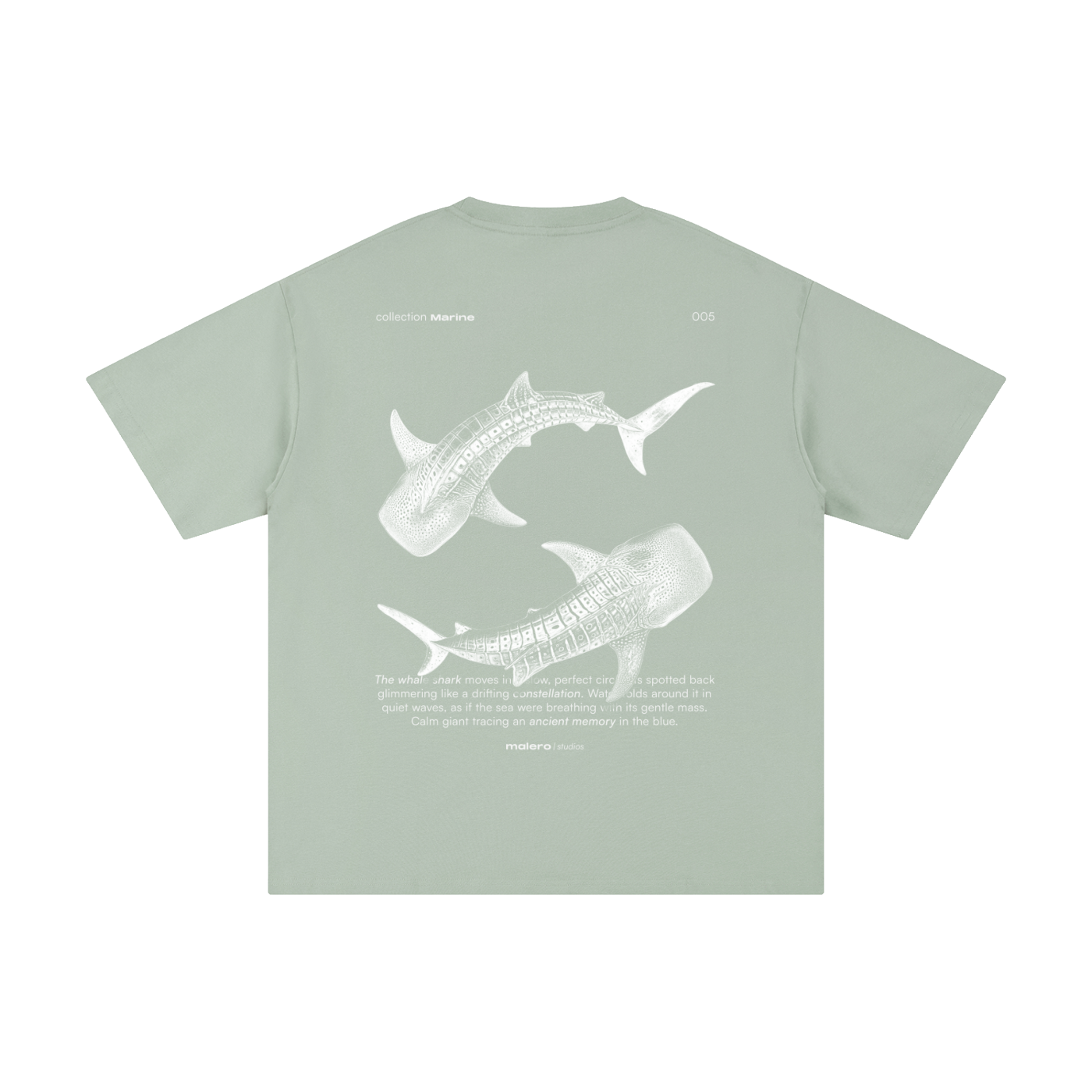 The Whale Shark