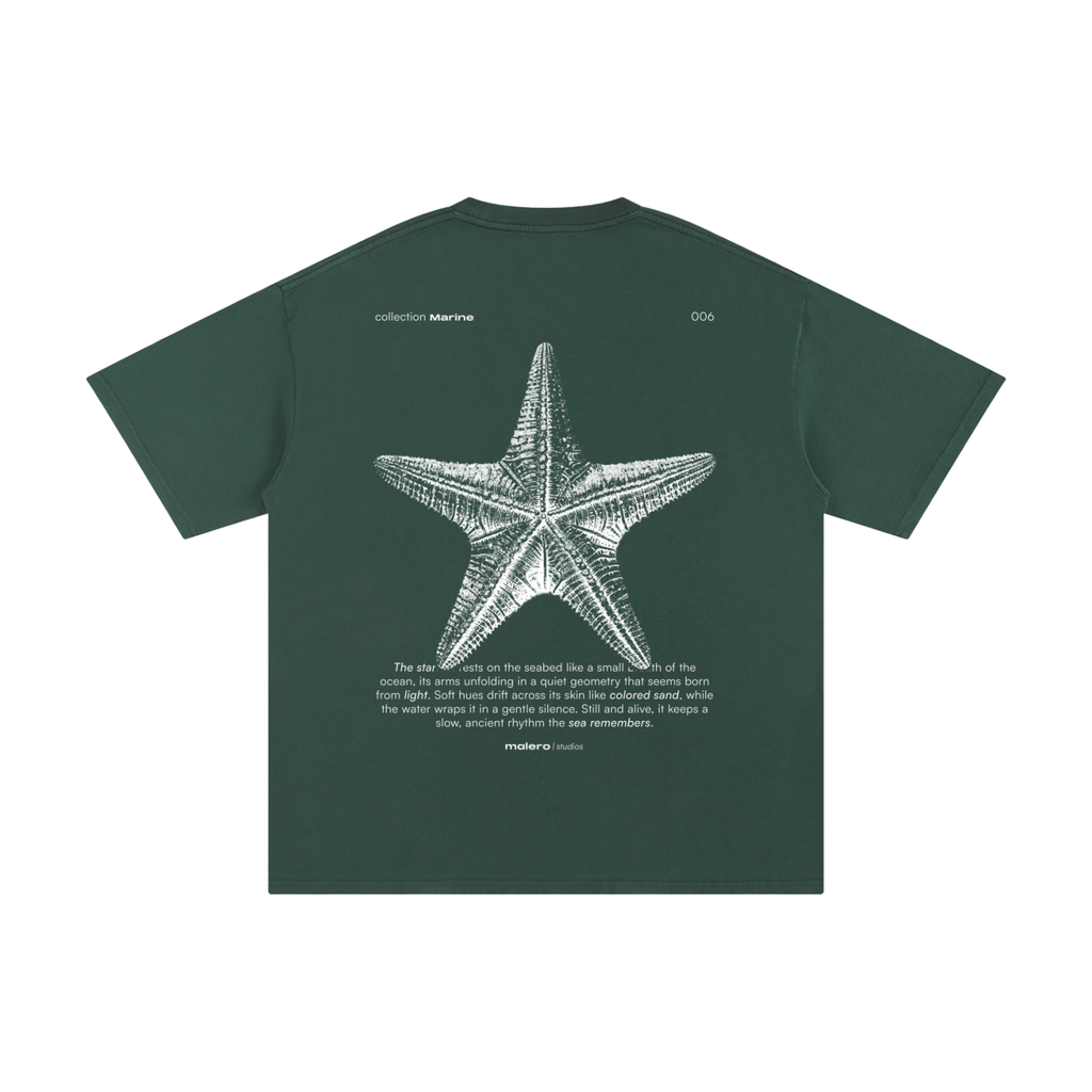 The Starfish