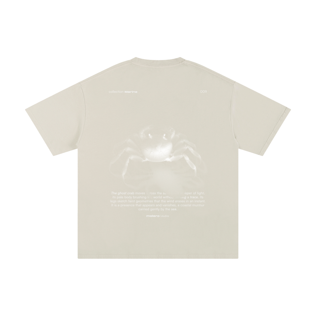 The Ghost Crab