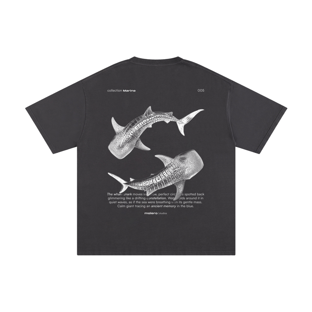 The Whale Shark