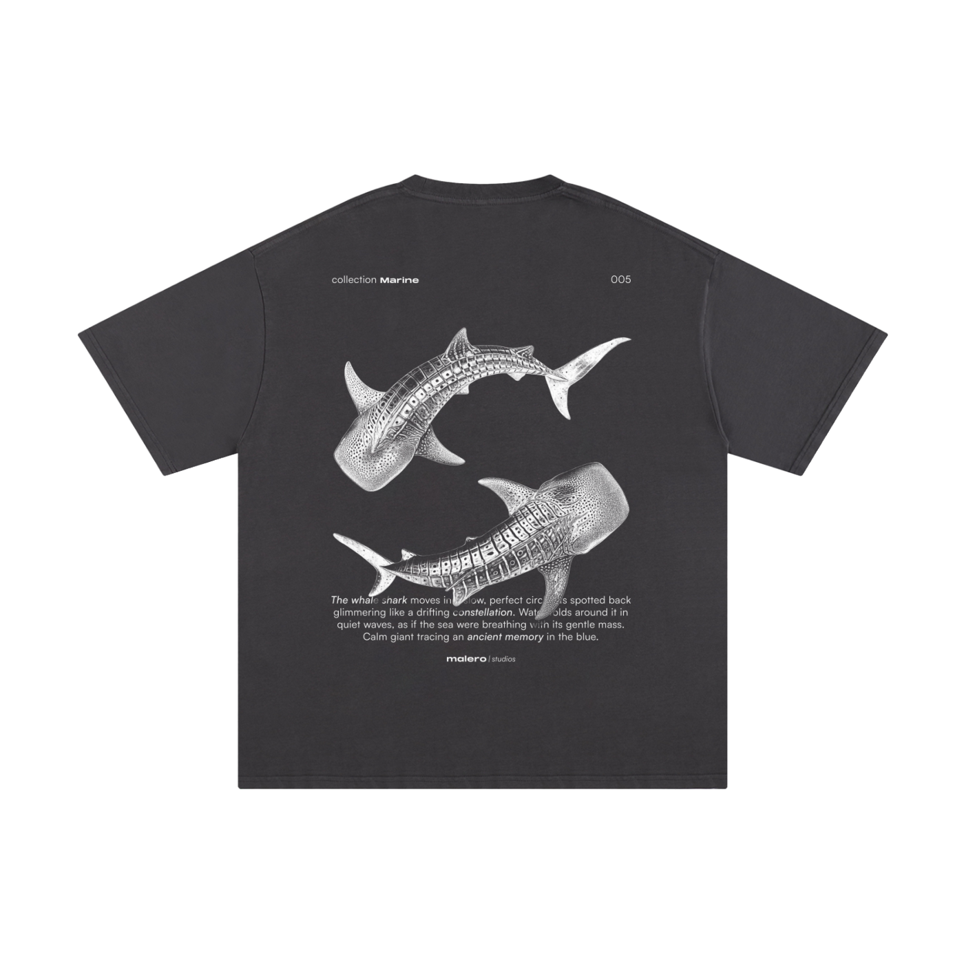 The Whale Shark
