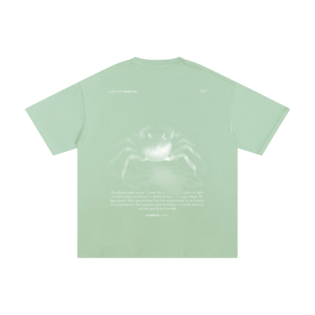 The Ghost Crab