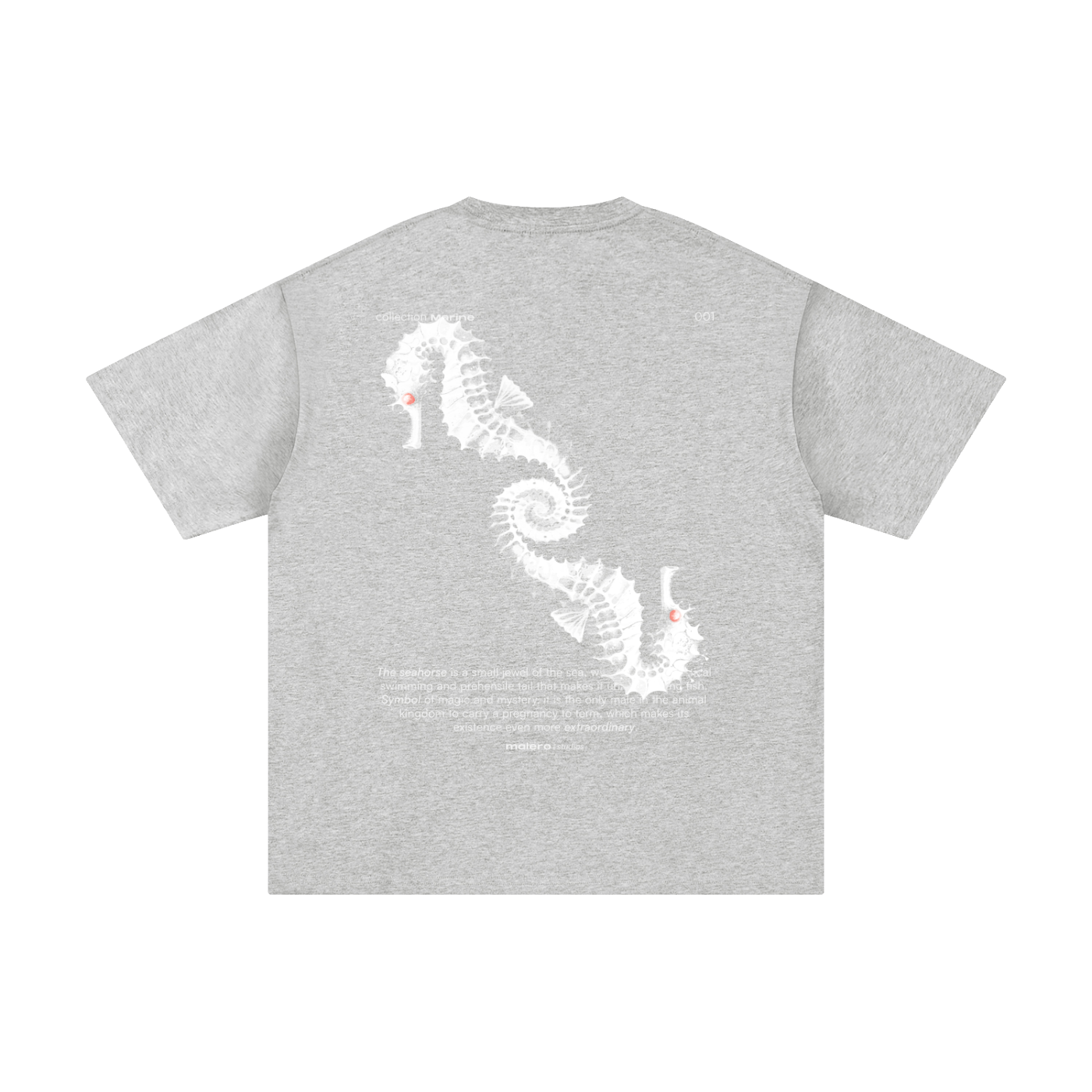 The Seahorse