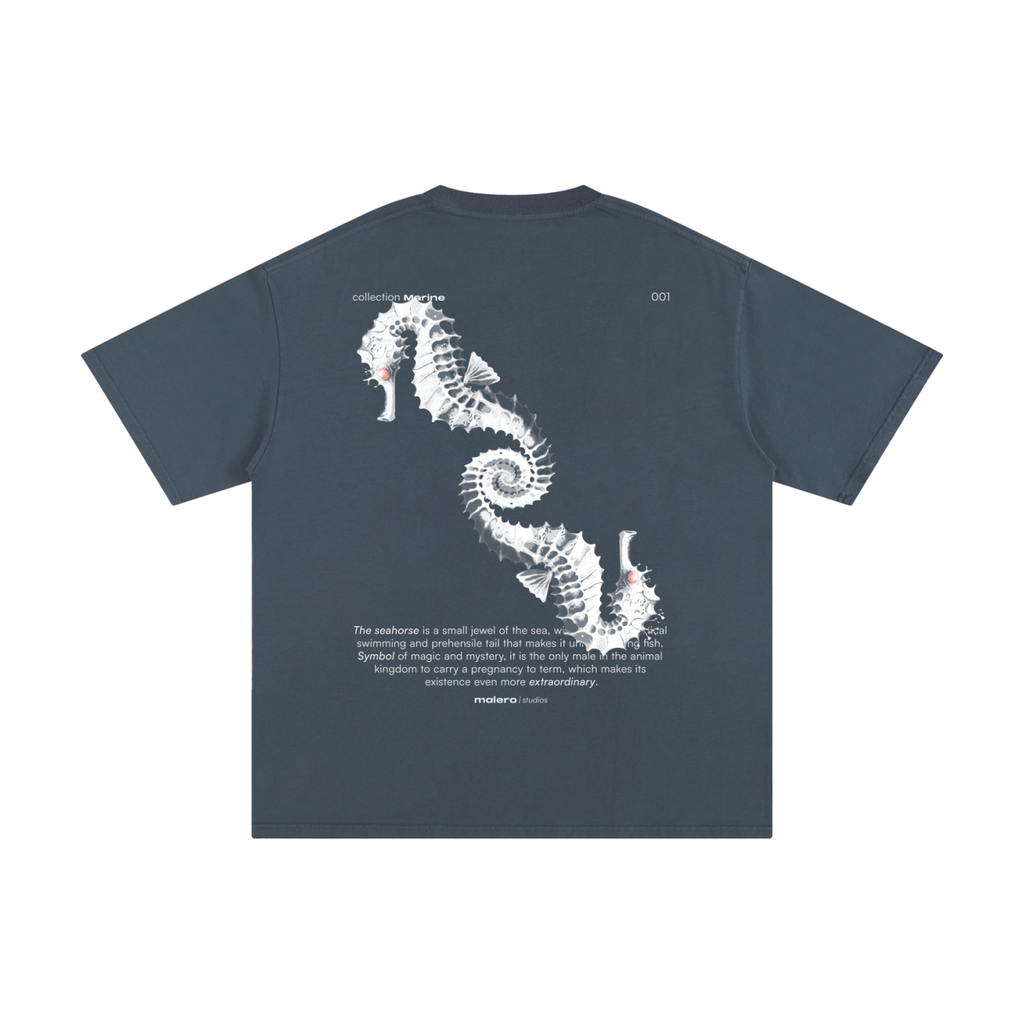 The Seahorse