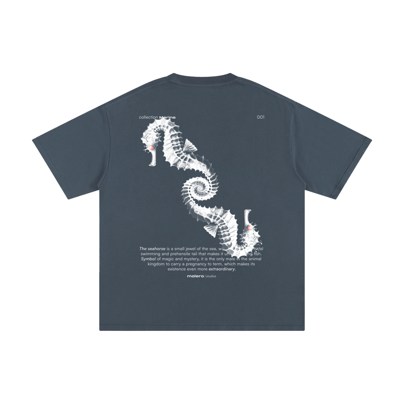 The Seahorse