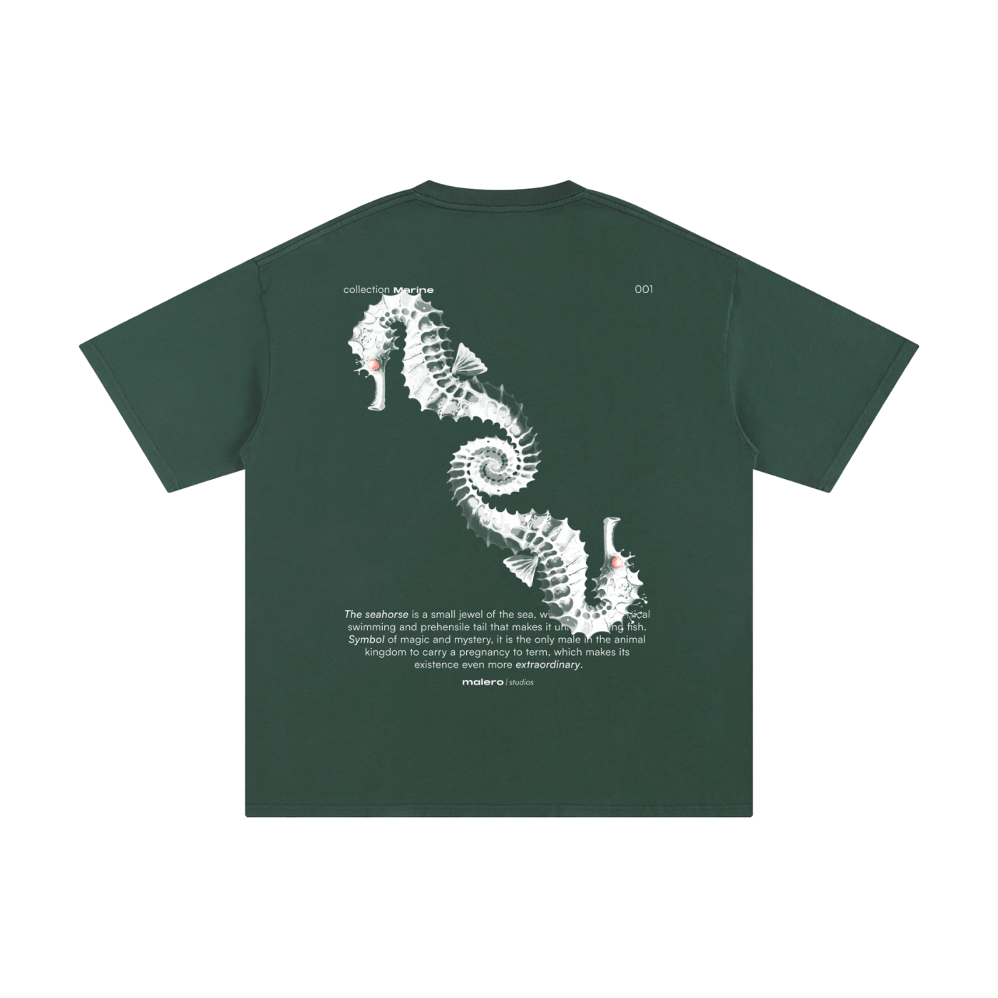The Seahorse
