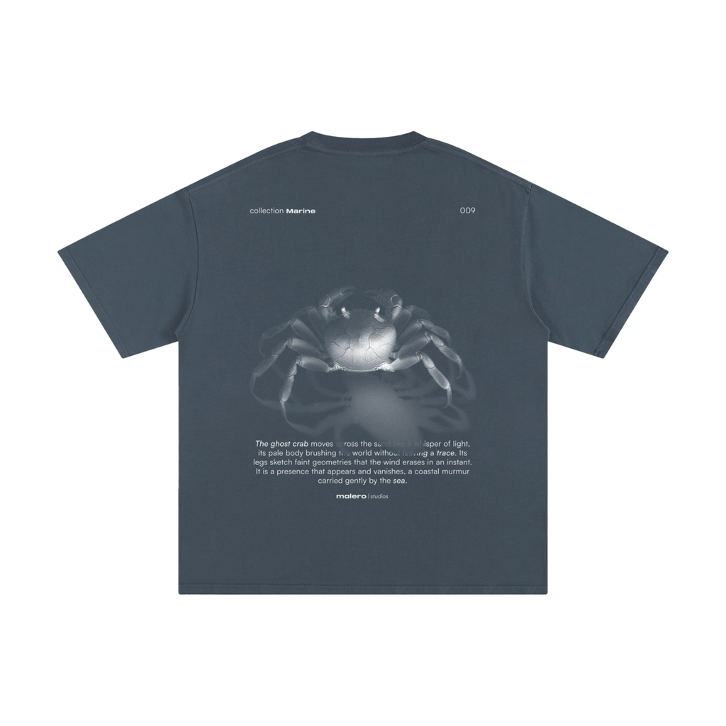 The Ghost Crab