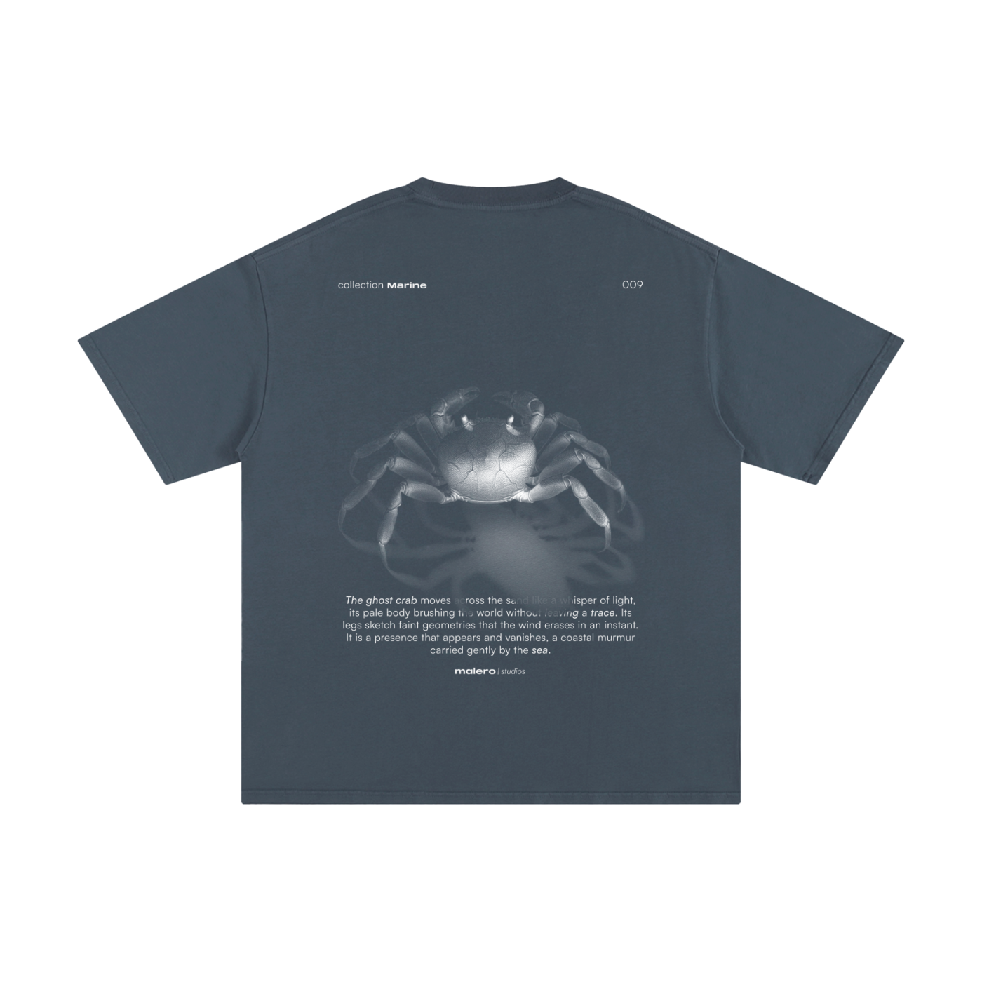 The Ghost Crab