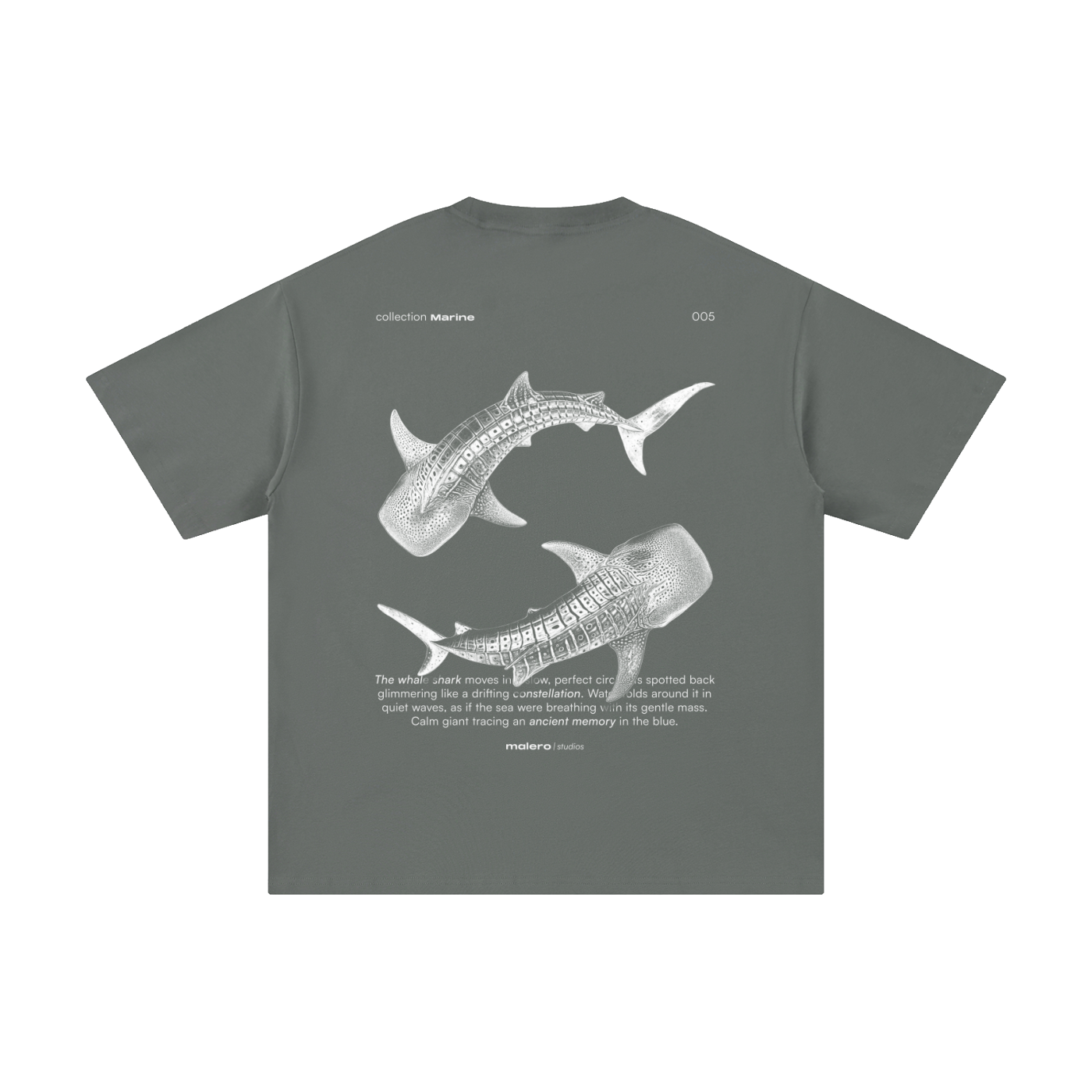 The Whale Shark