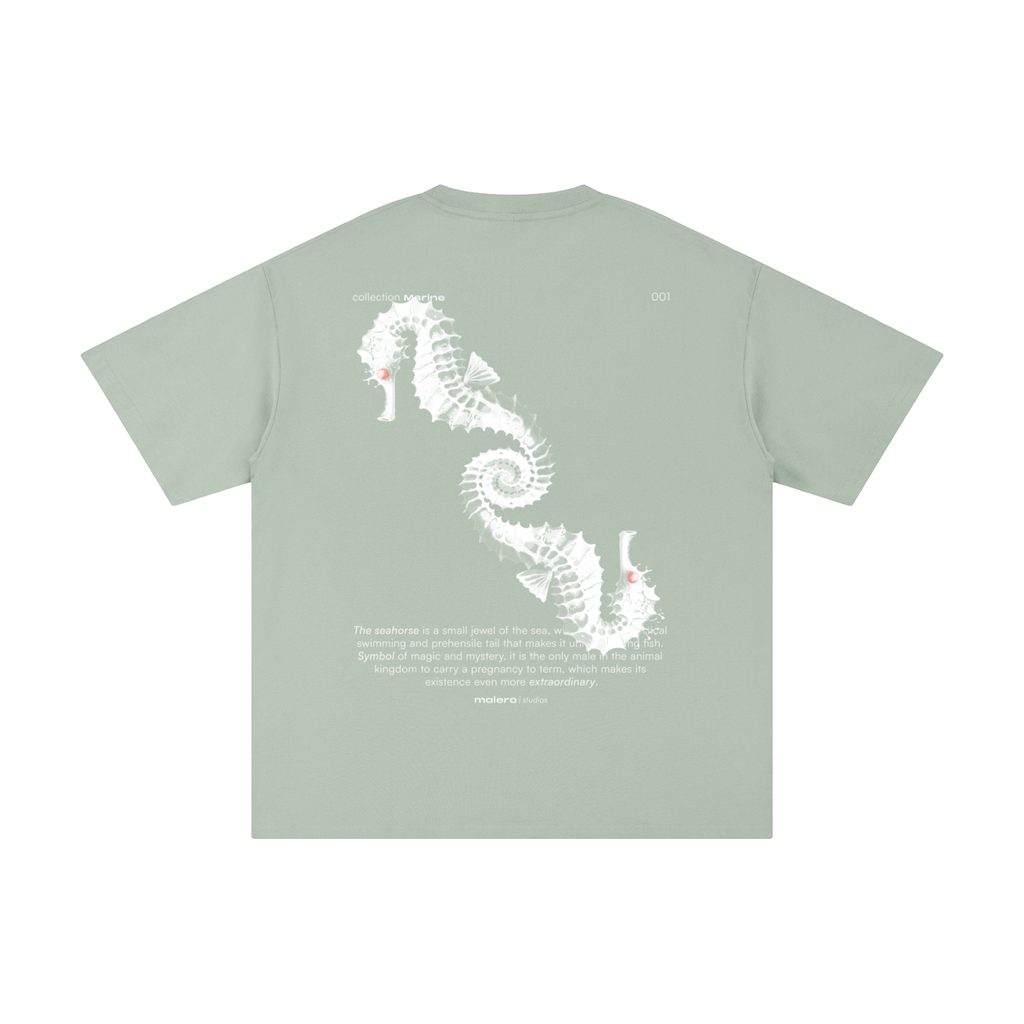 The Seahorse