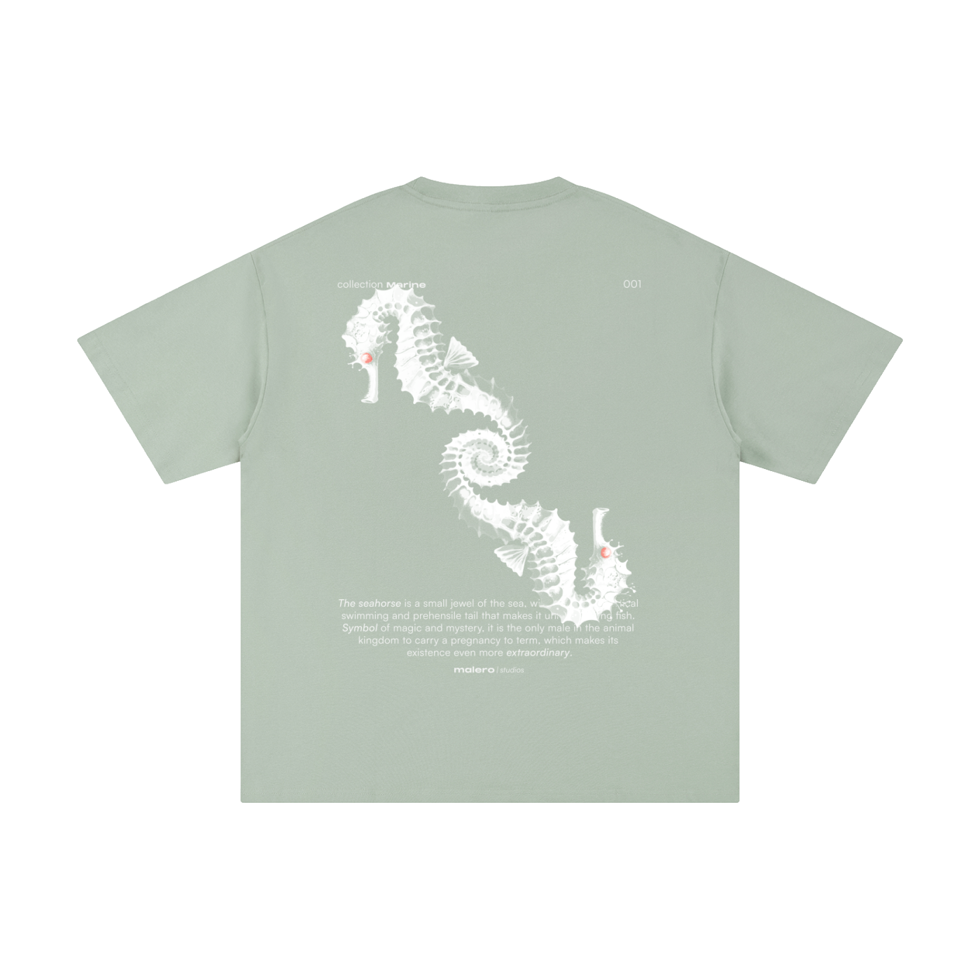 The Seahorse
