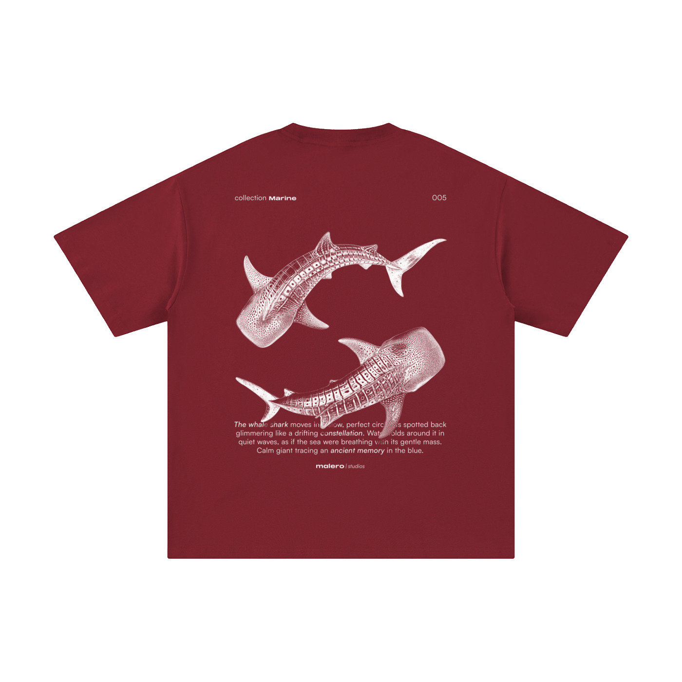 The Whale Shark