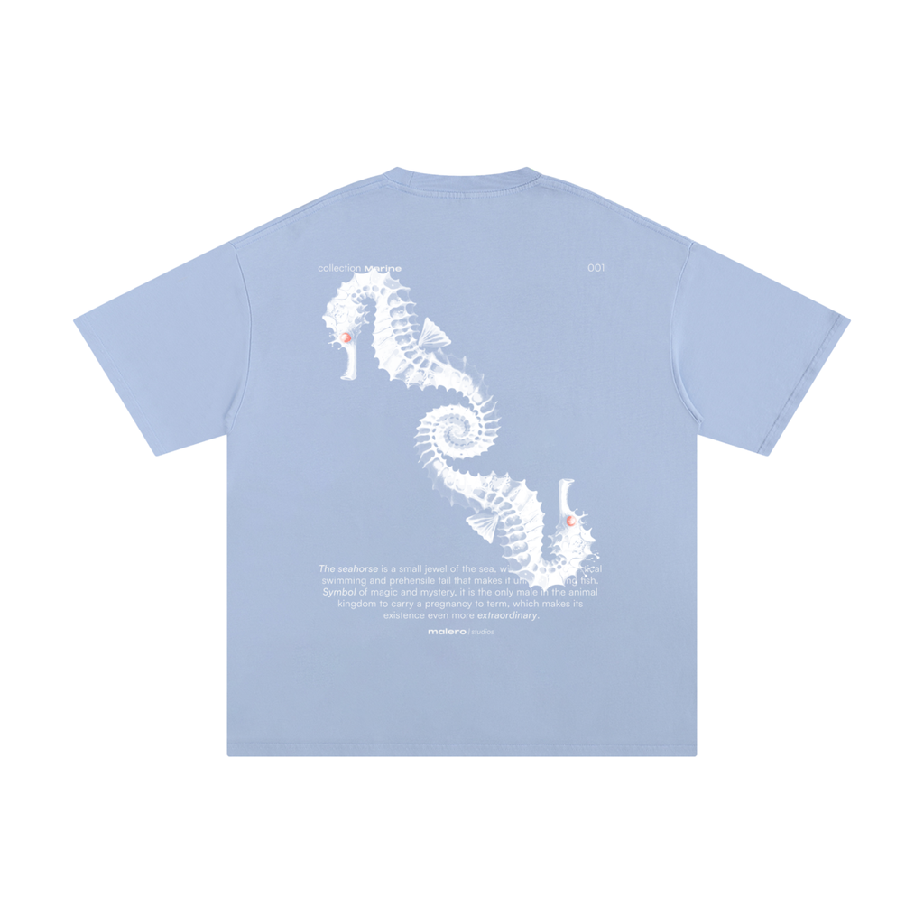 The Seahorse