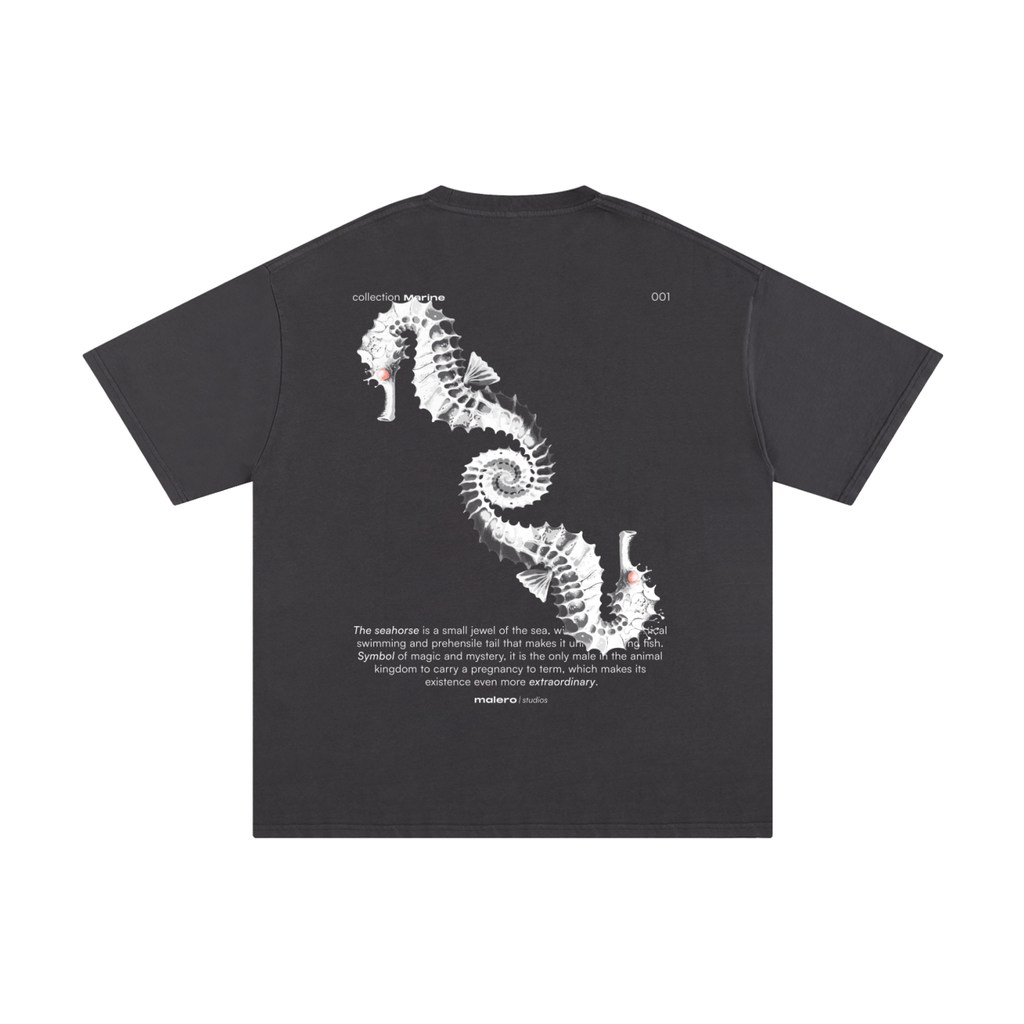 The Seahorse
