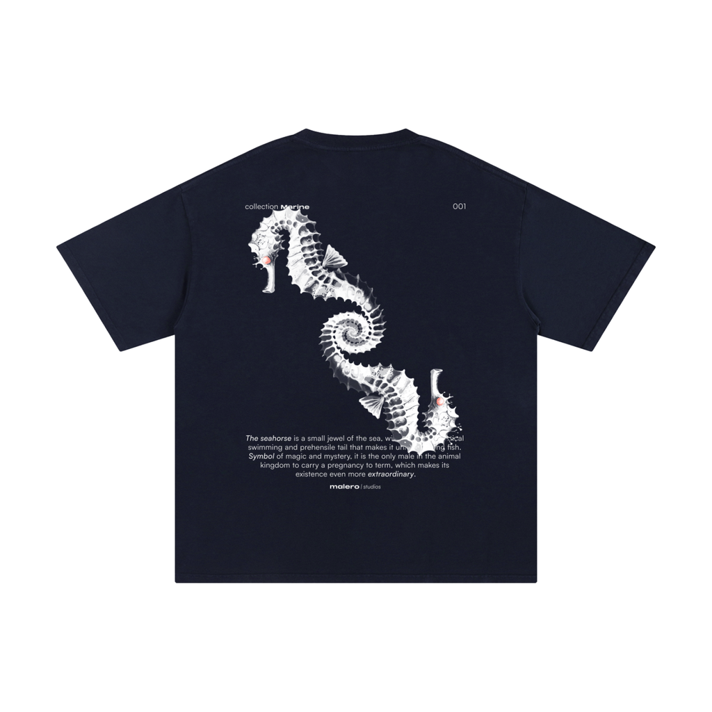 The Seahorse