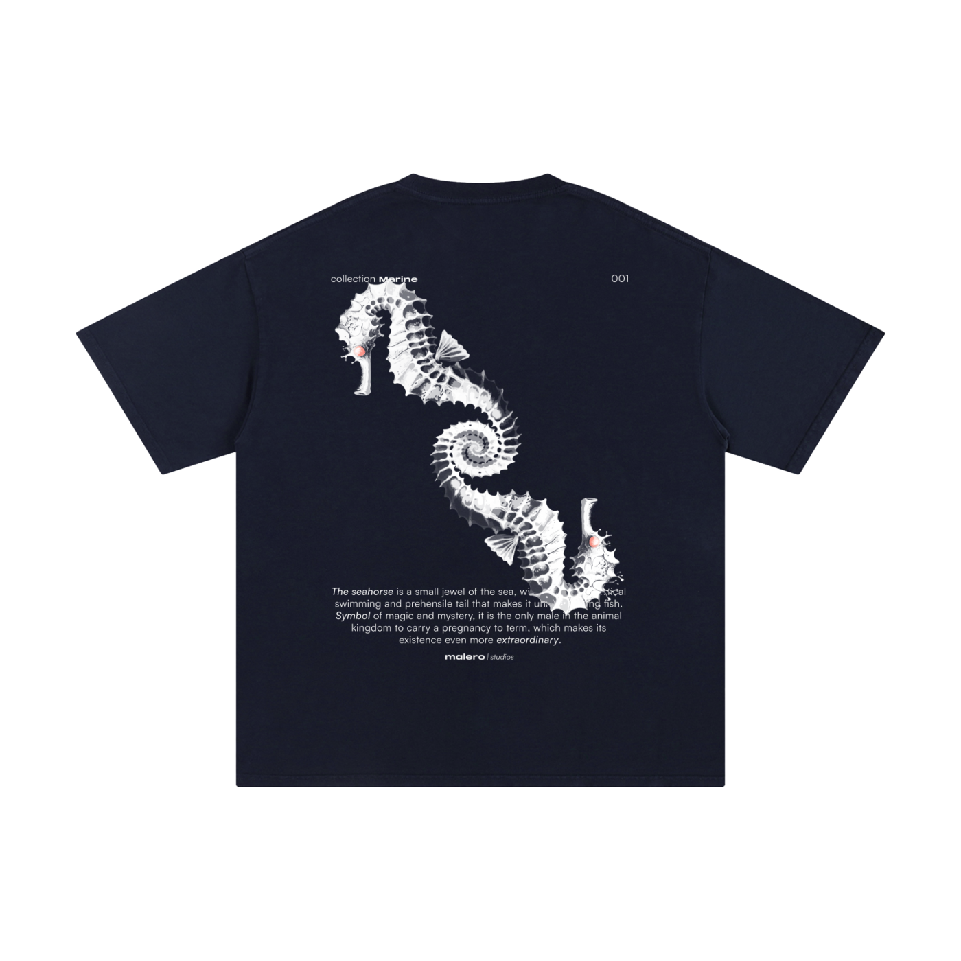 The Seahorse