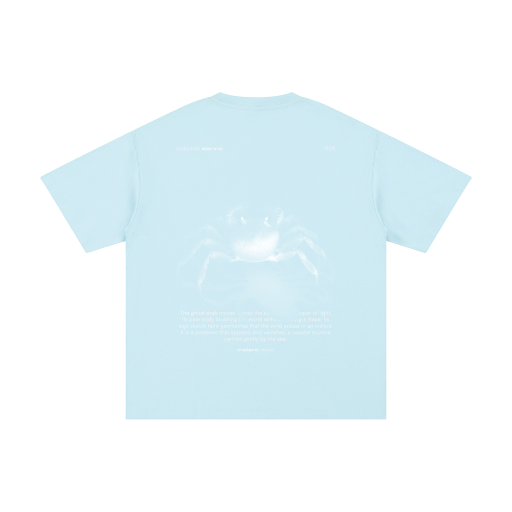 The Ghost Crab