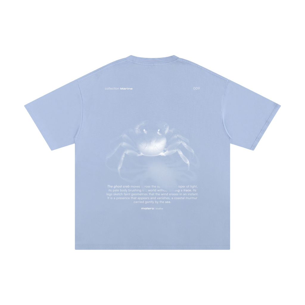 The Ghost Crab