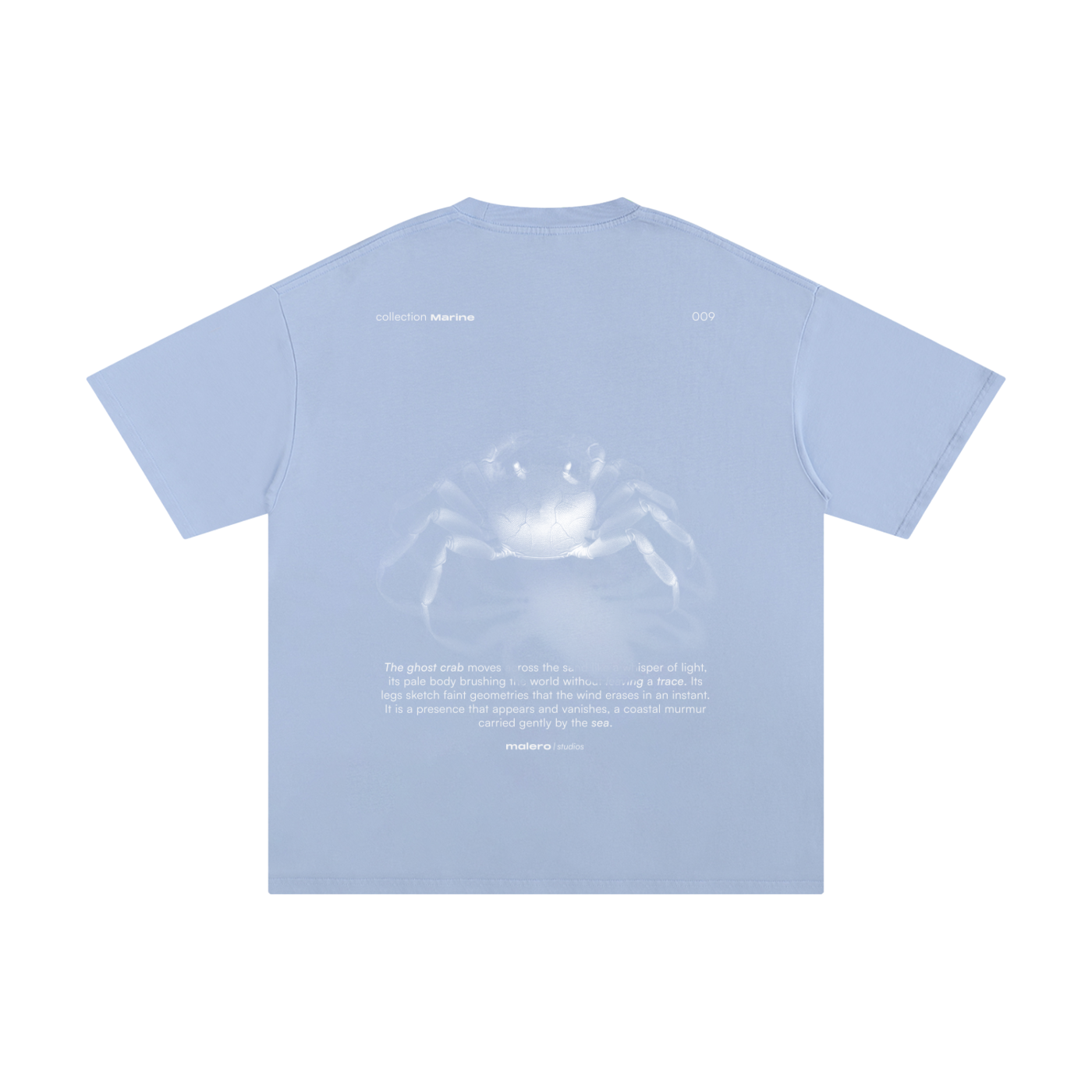 The Ghost Crab