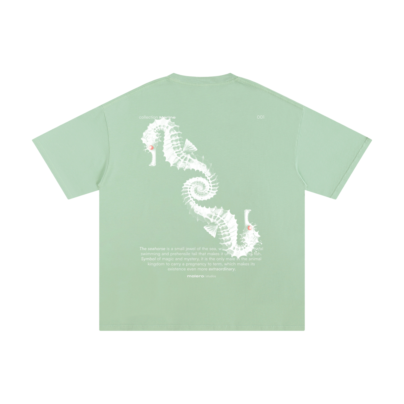 The Seahorse