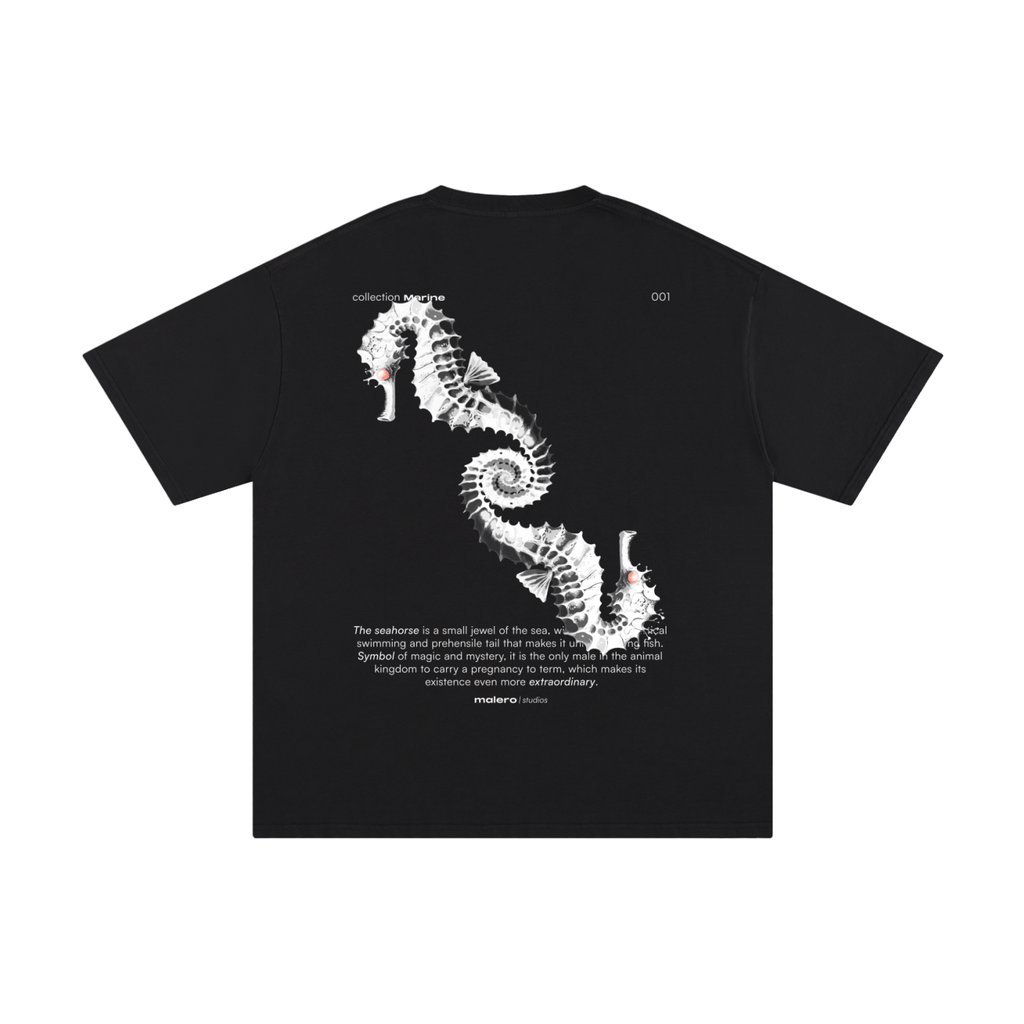 The Seahorse
