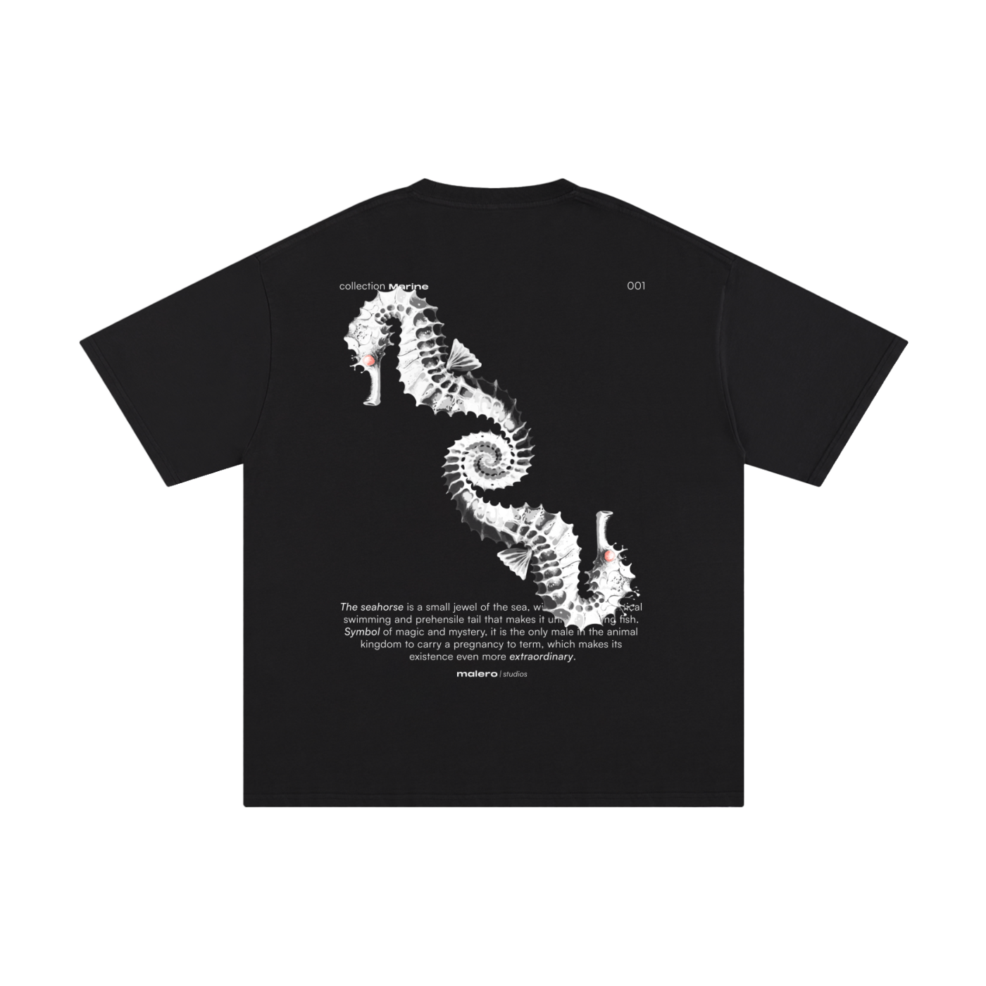 The Seahorse