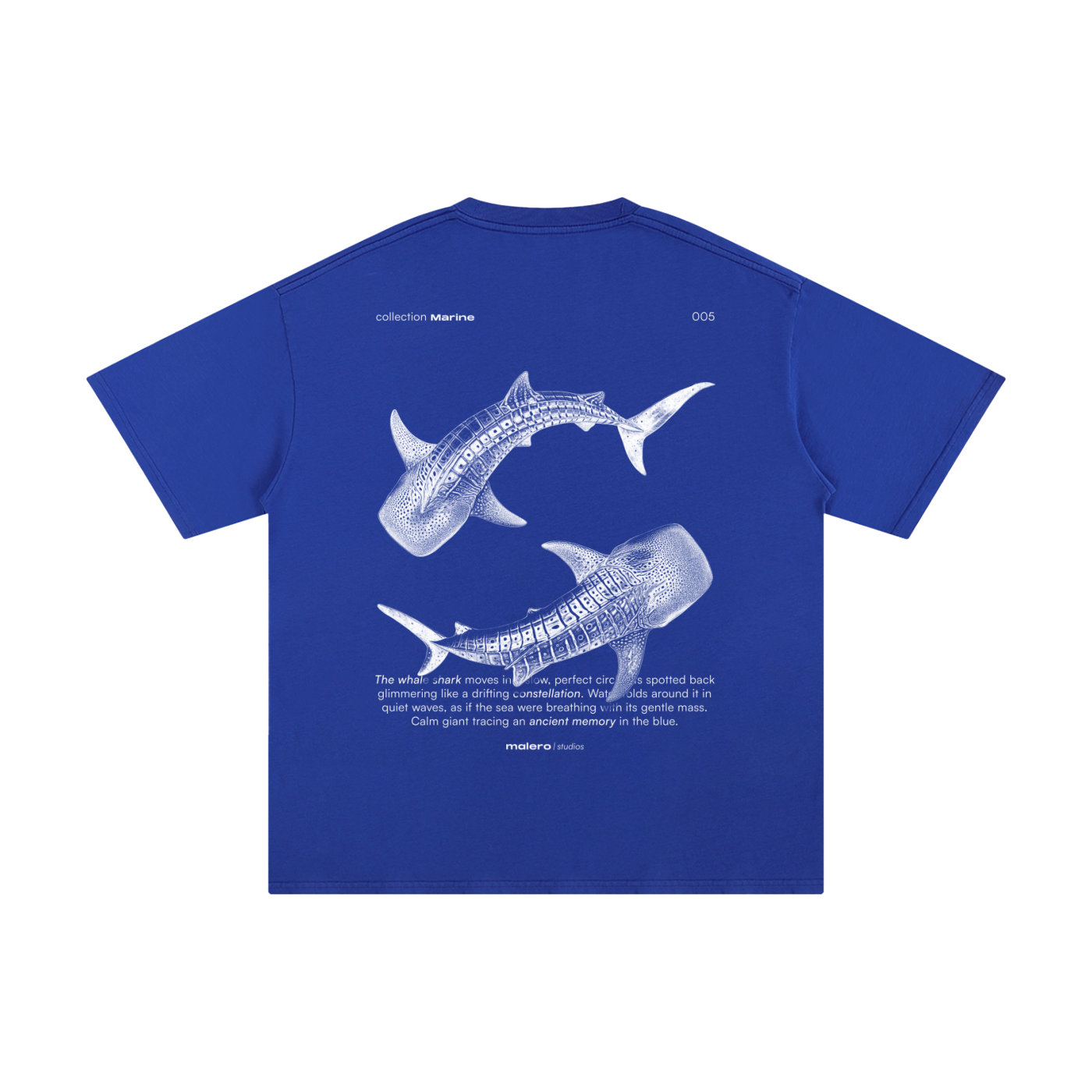The Whale Shark
