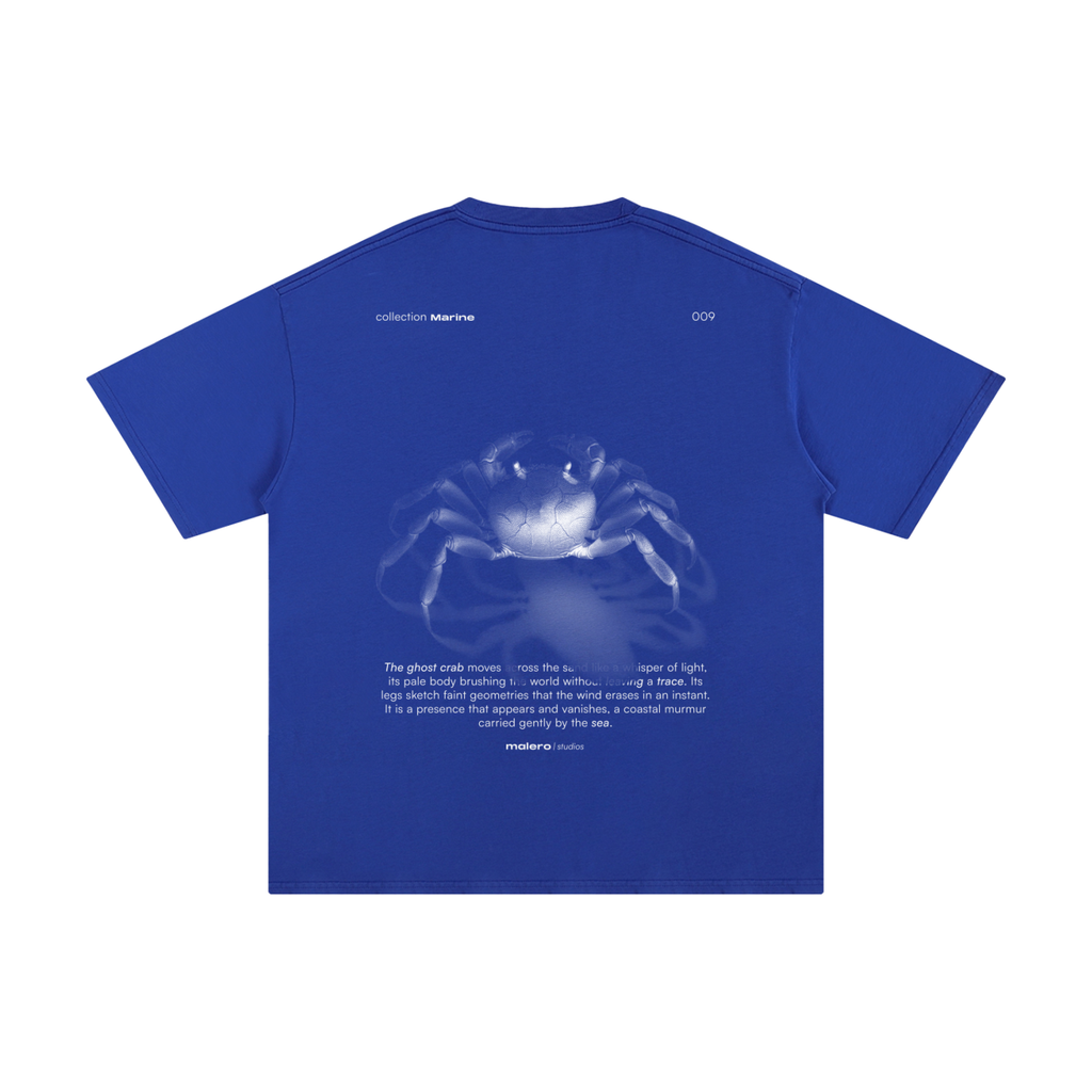 The Ghost Crab