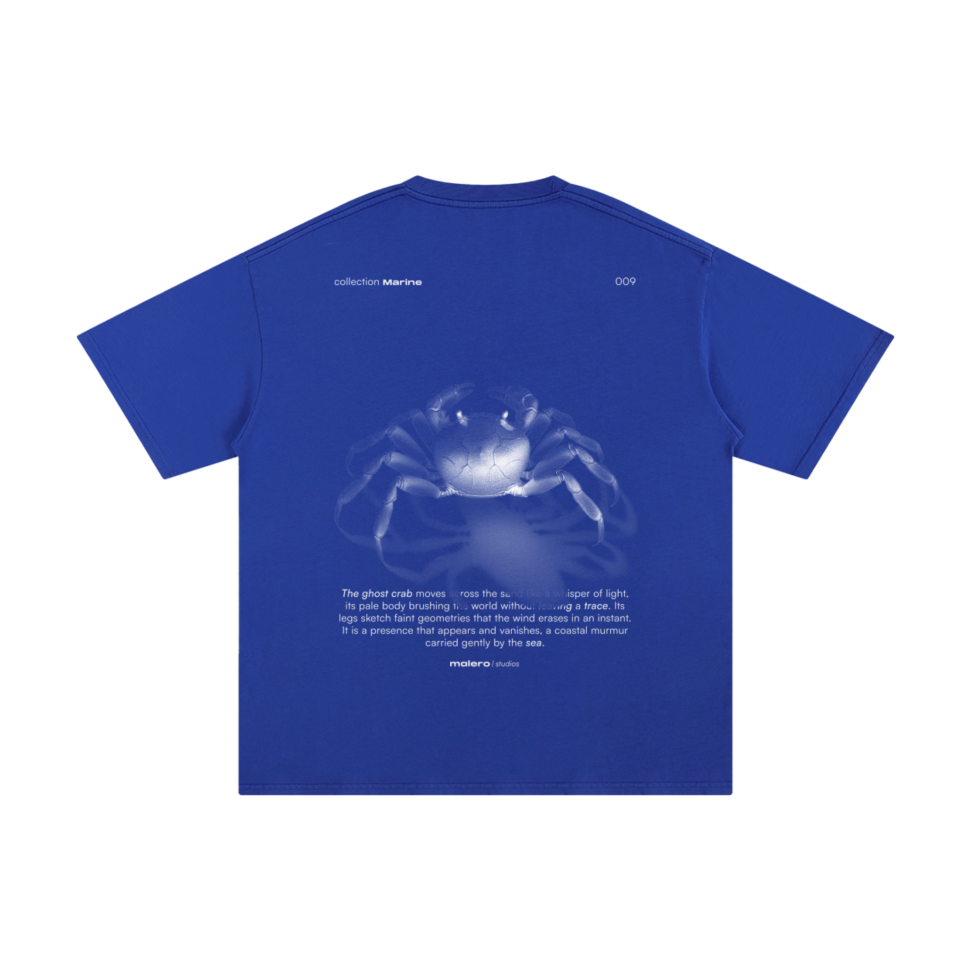 The Ghost Crab