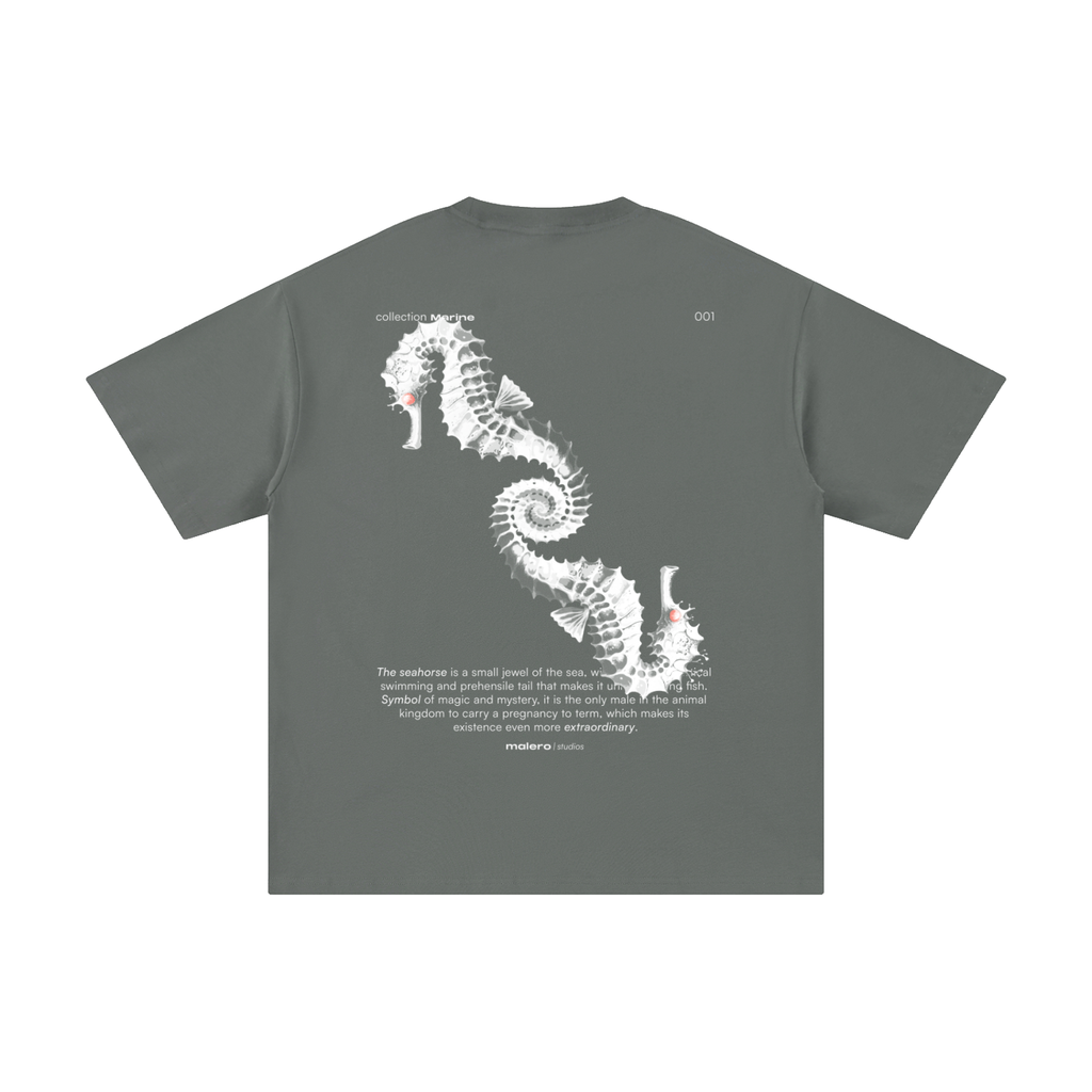 The Seahorse