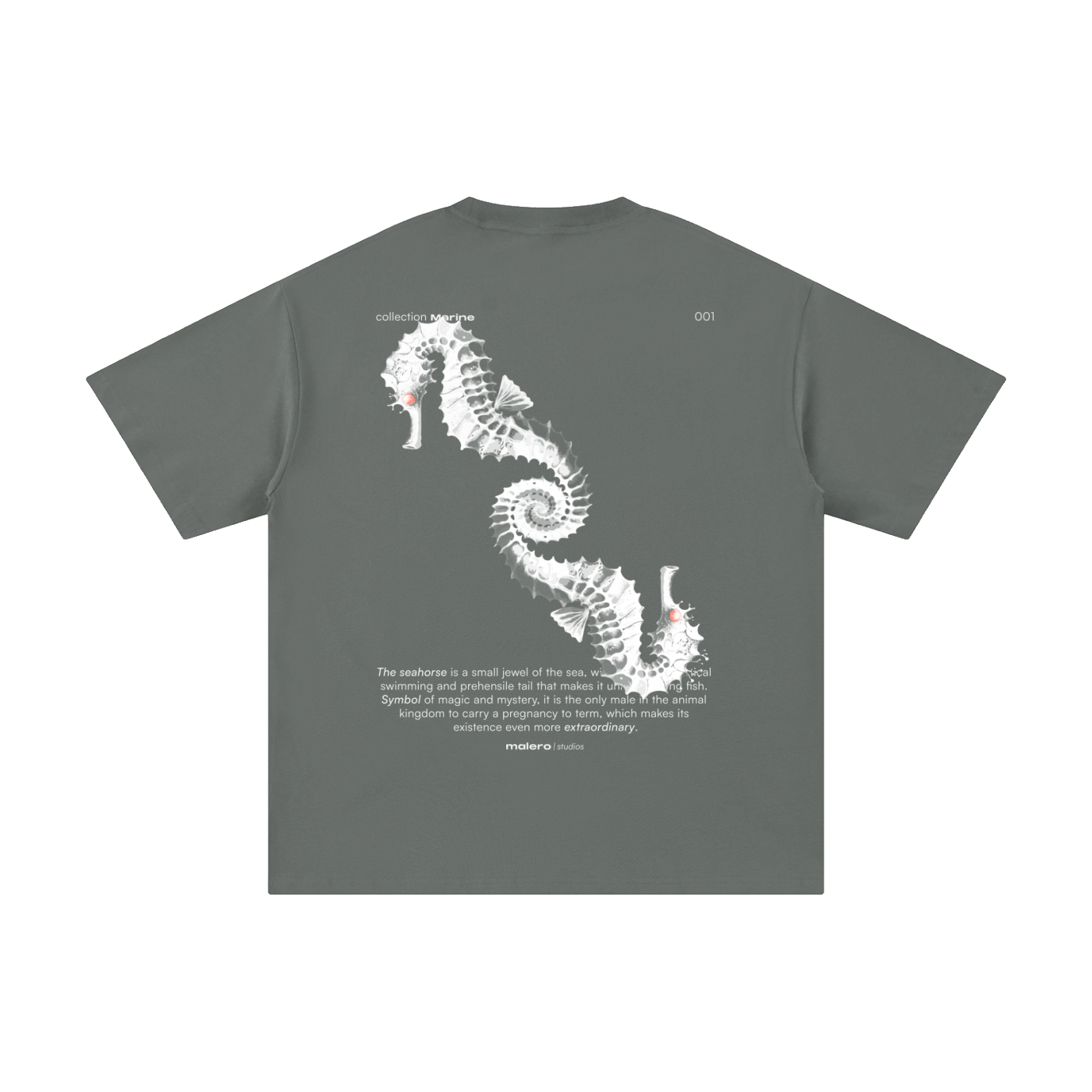 The Seahorse