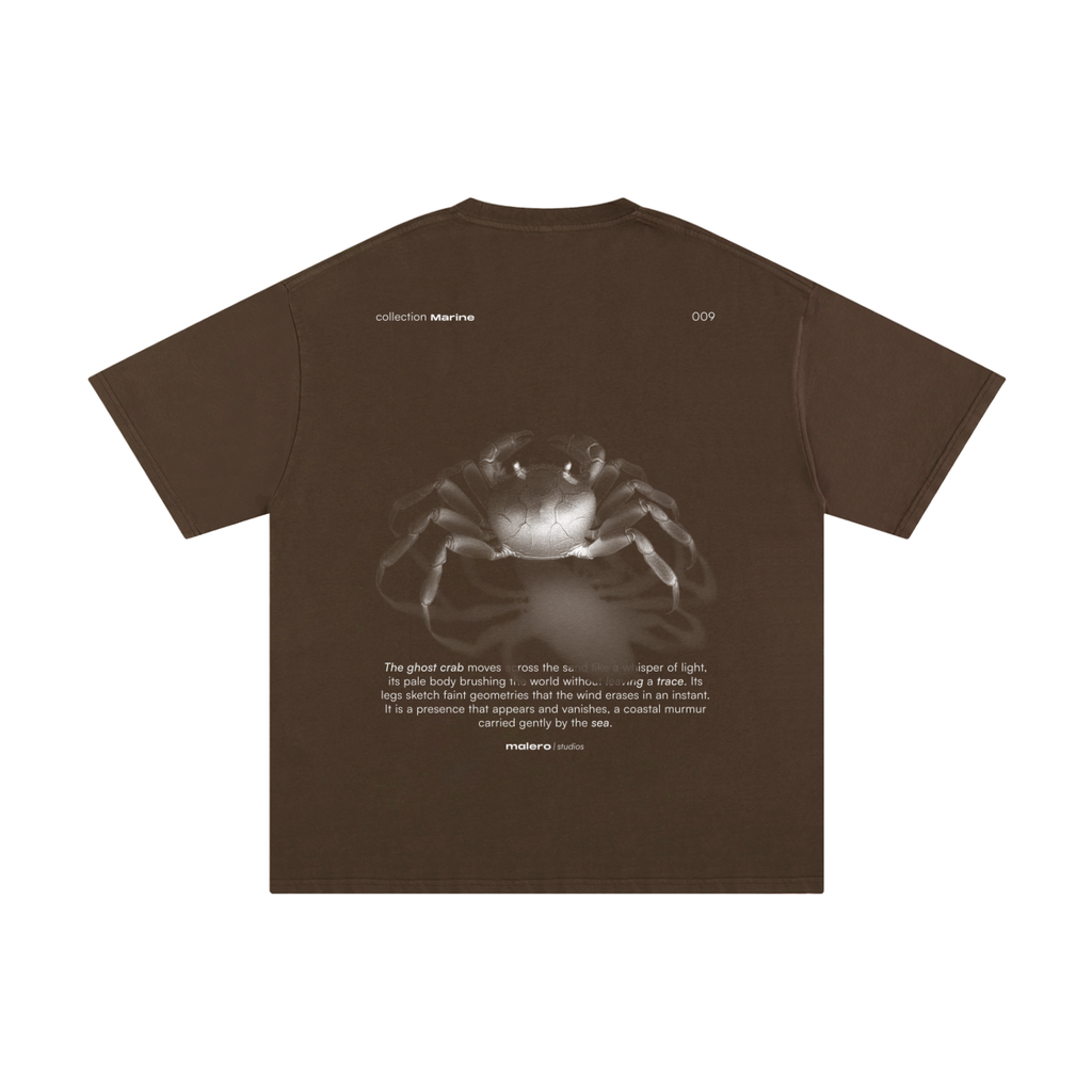 The Ghost Crab