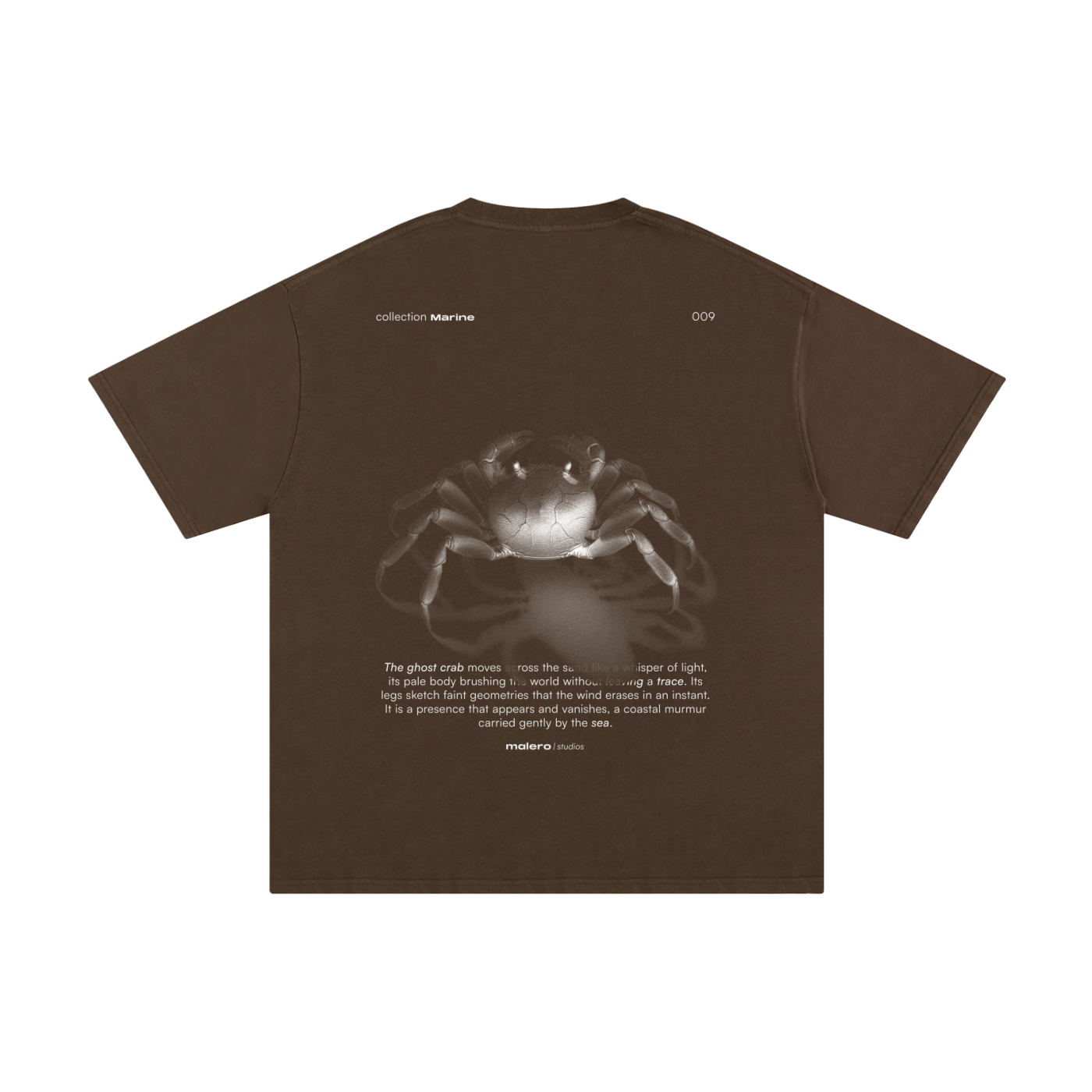 The Ghost Crab