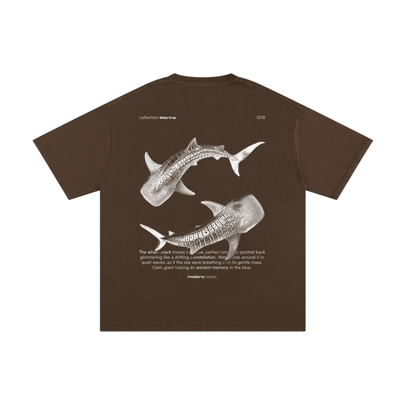 The Whale Shark